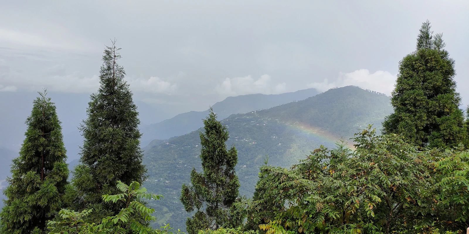 The view from Deolo Hill above Kalimpong, tall firs framing forested ridges and a faint rainbow over the valley after rain