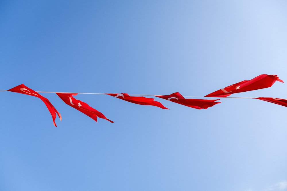 a group of red kites flying in the sky