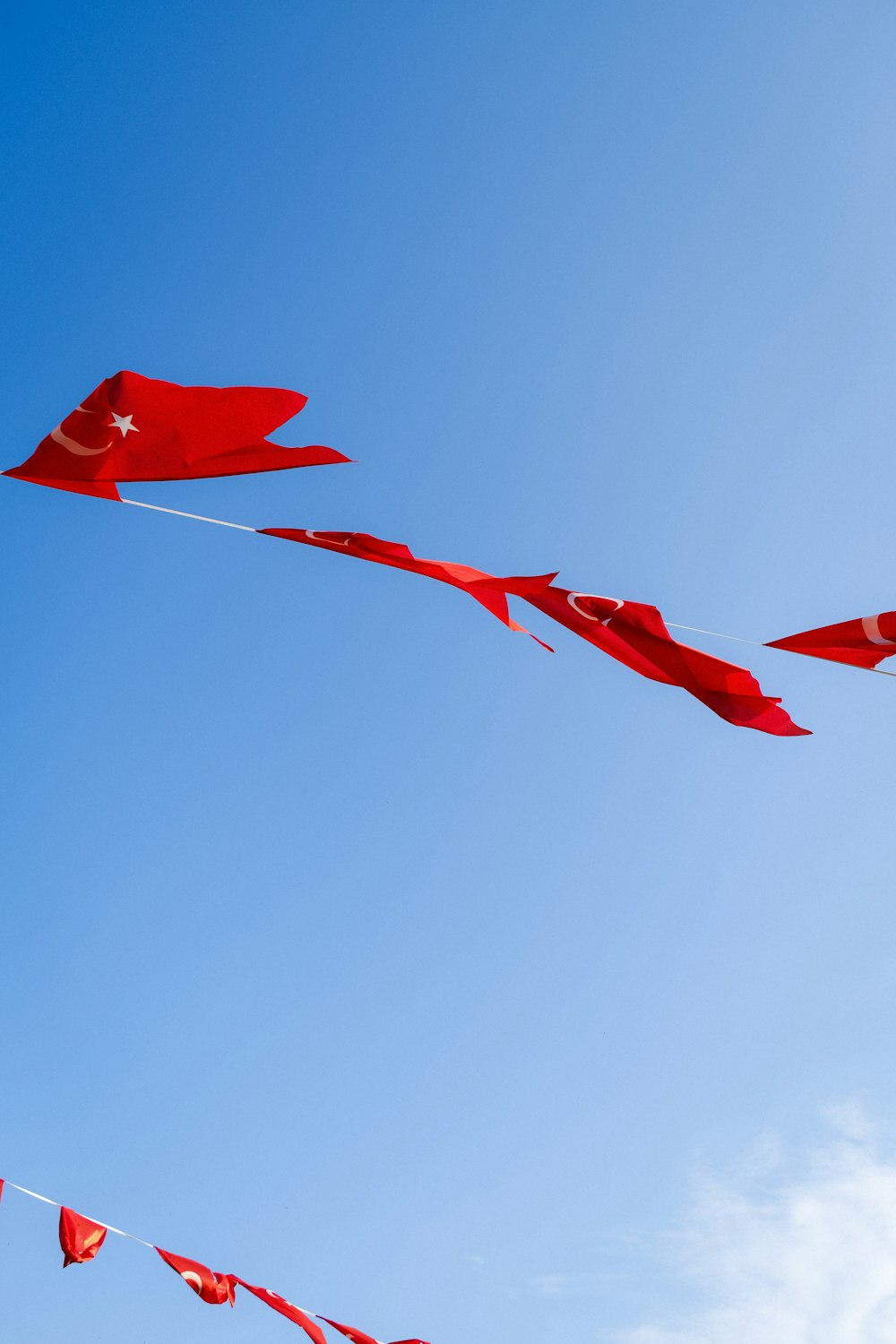 kites flying in the sky