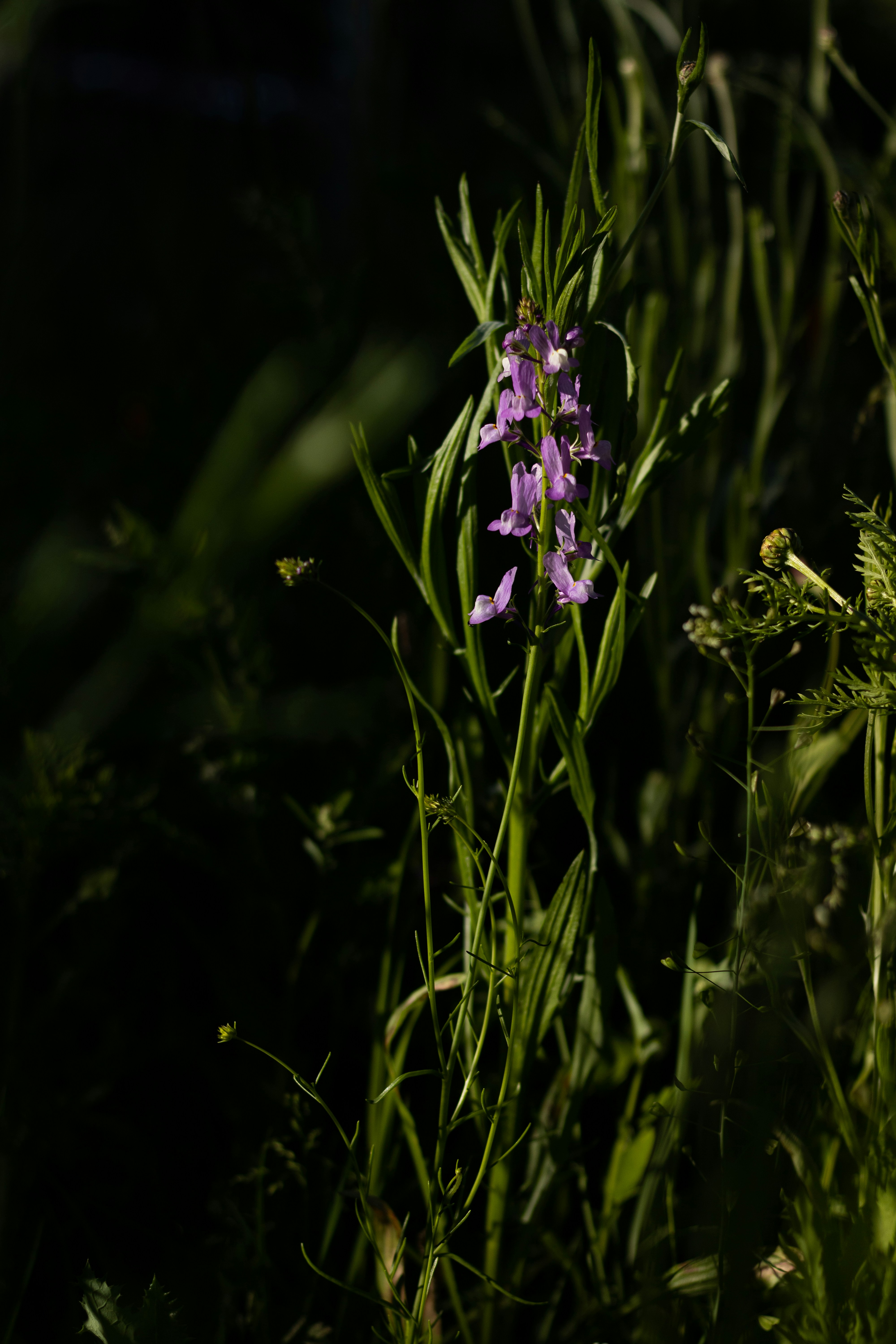 Photo by mirkofabian