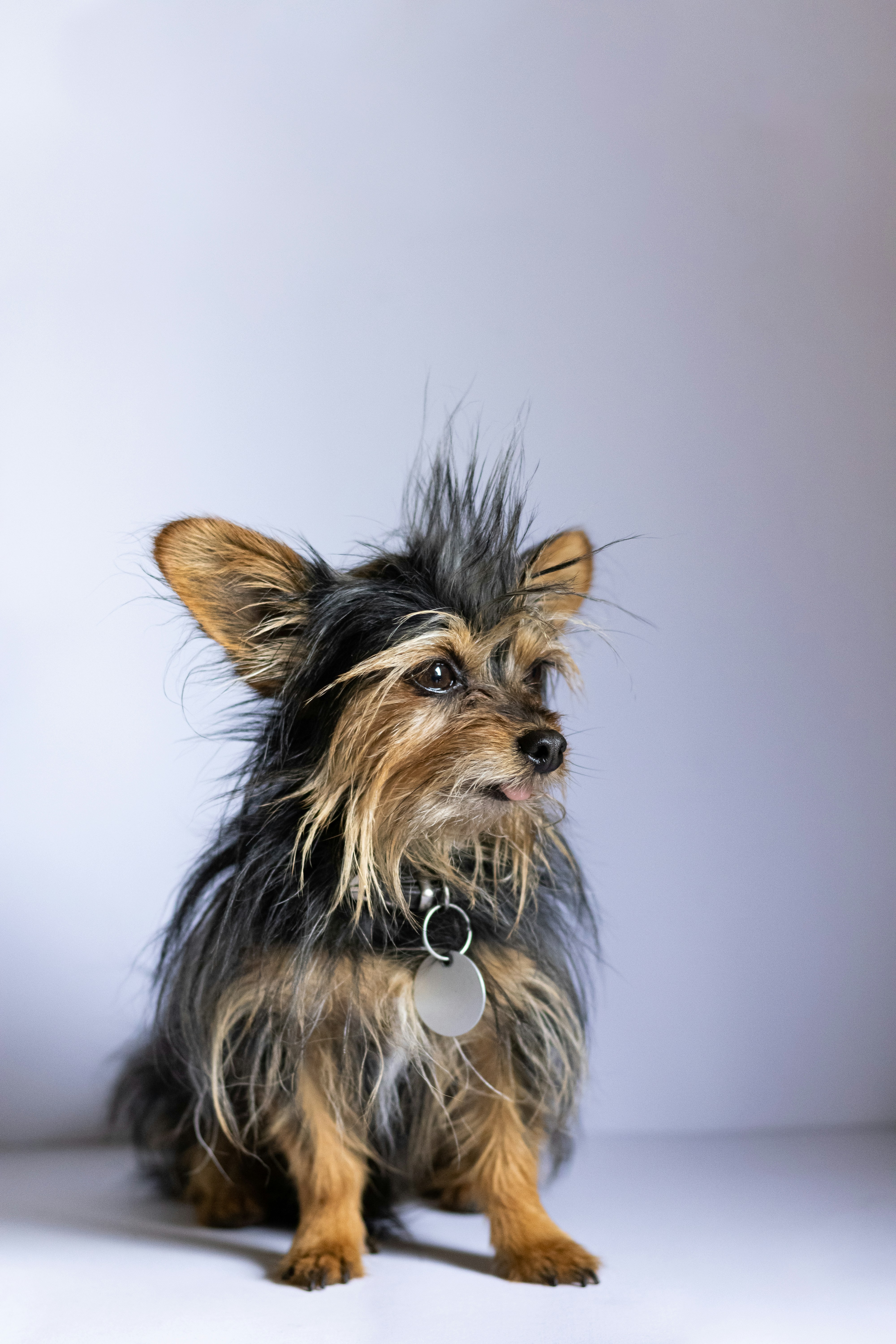 Photo by mirkofabian