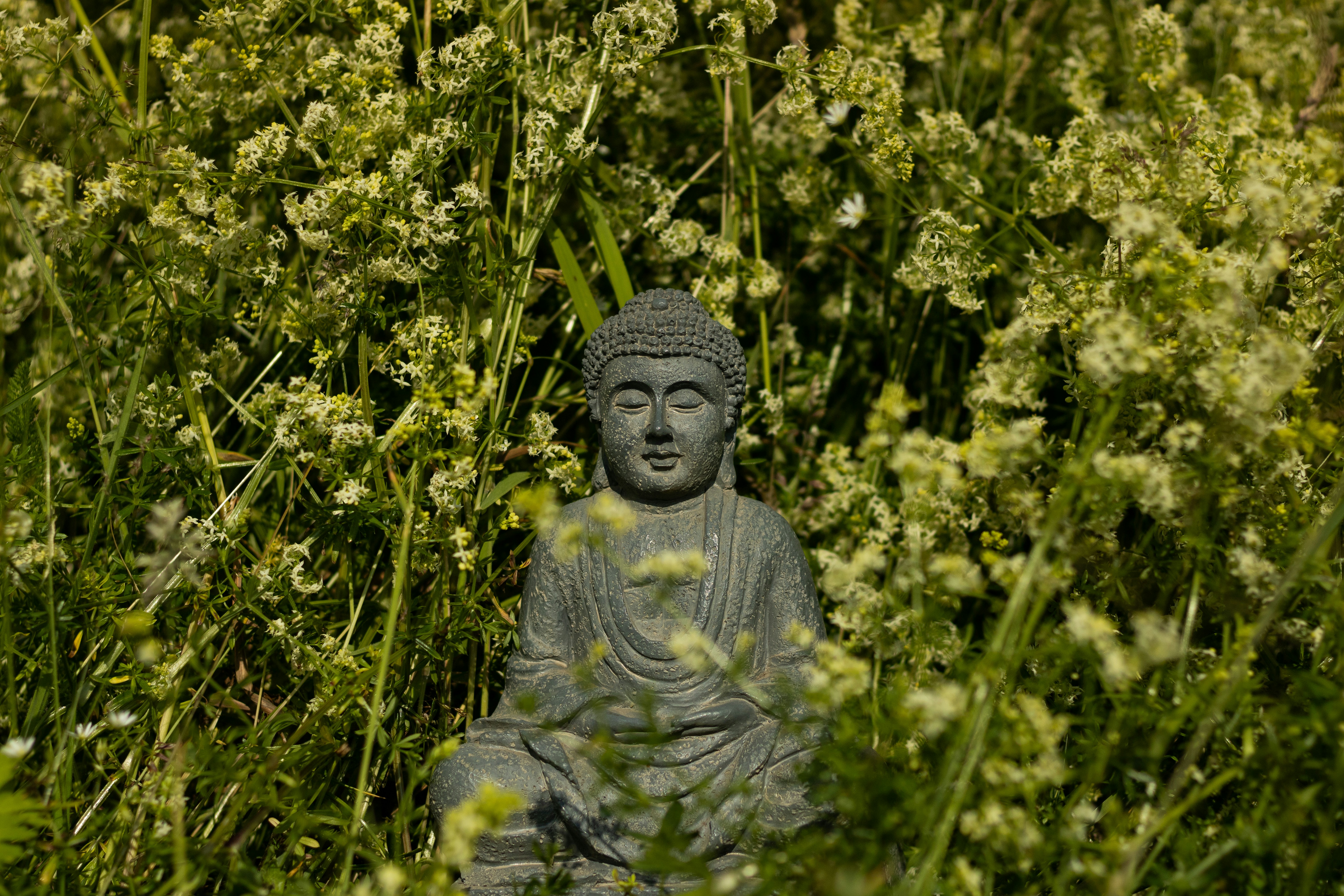 Photo by mirkofabian