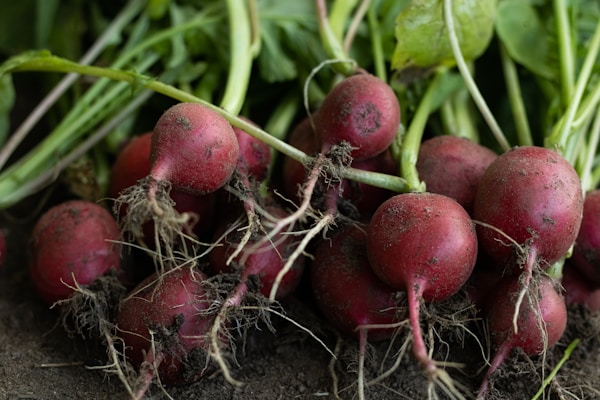 A group of beets