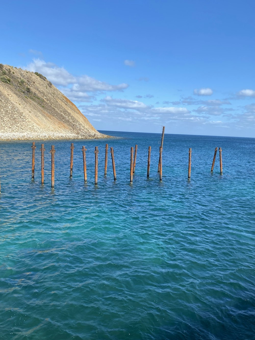 a group of wooden poles in the water