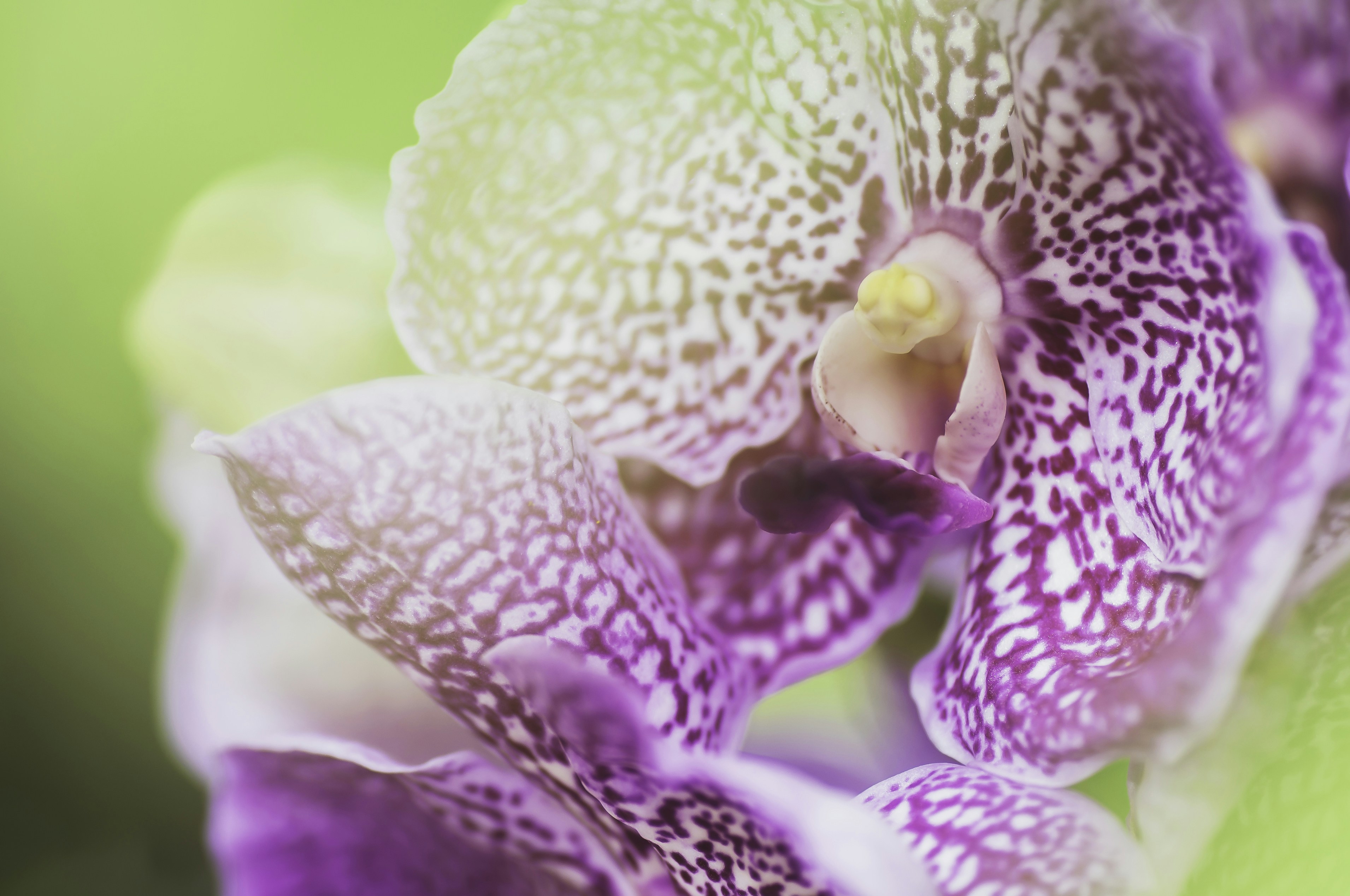 Photo by thom_oxford