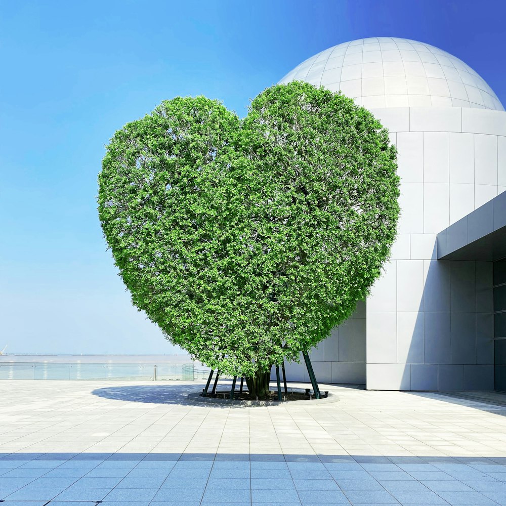 a tree in front of a building