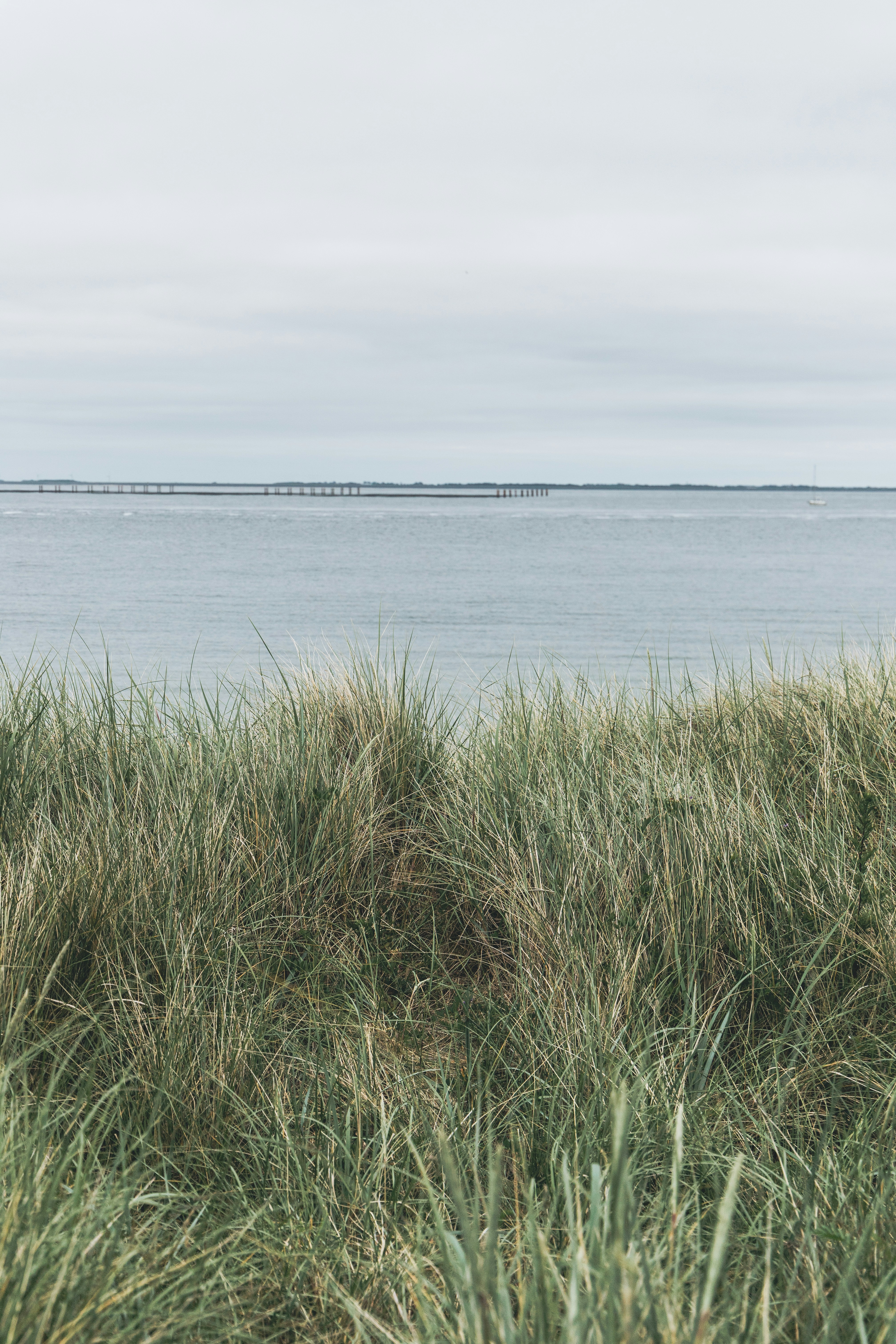 Photo by katharina_bill