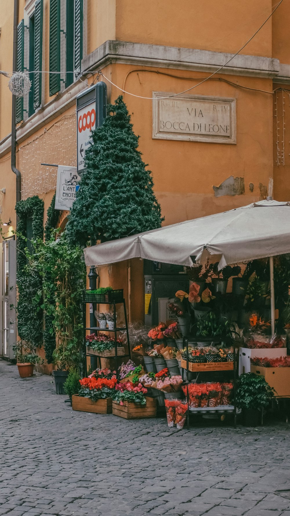 a store front with a tree and flowers