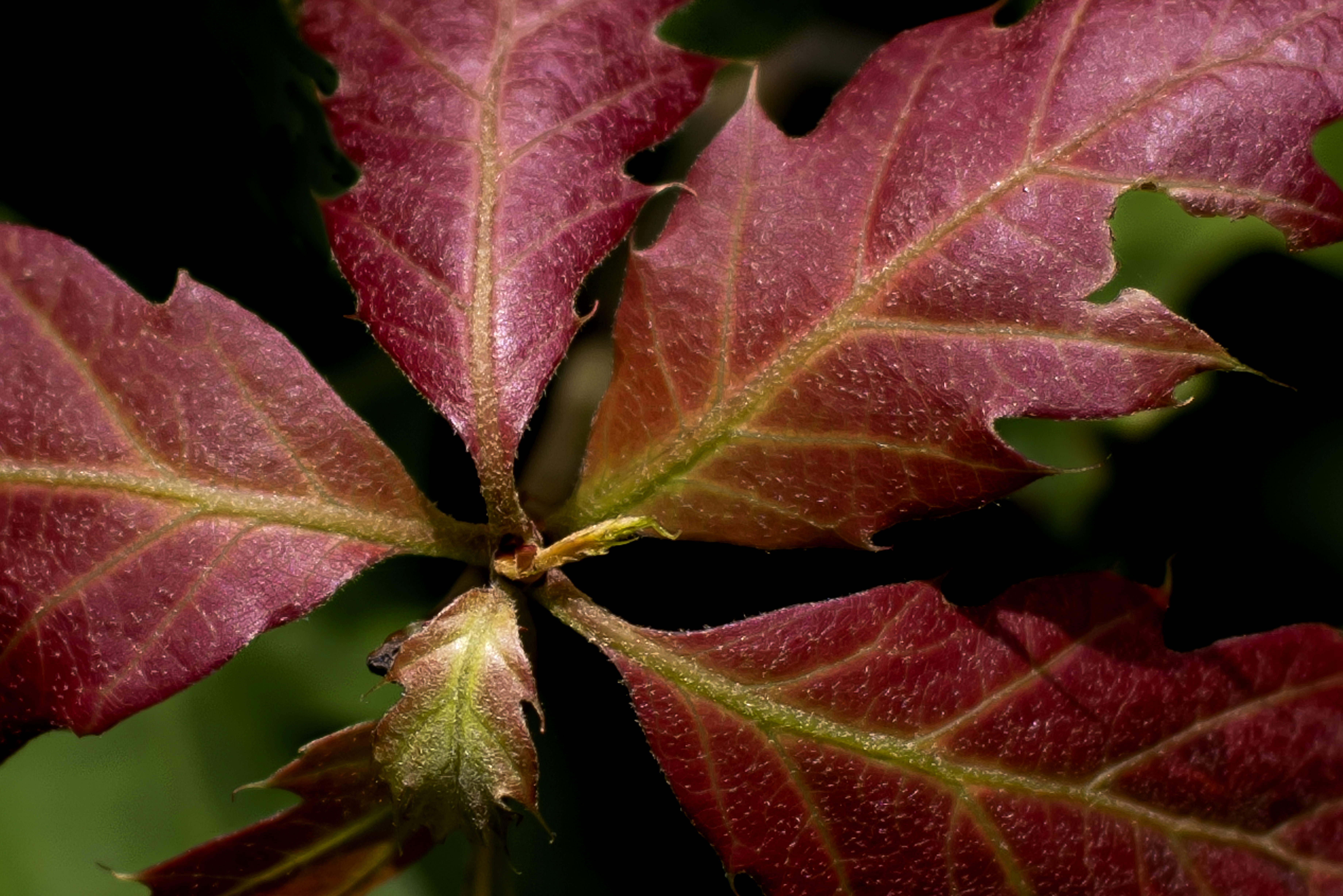 Photo by switch_dtp_fotografie