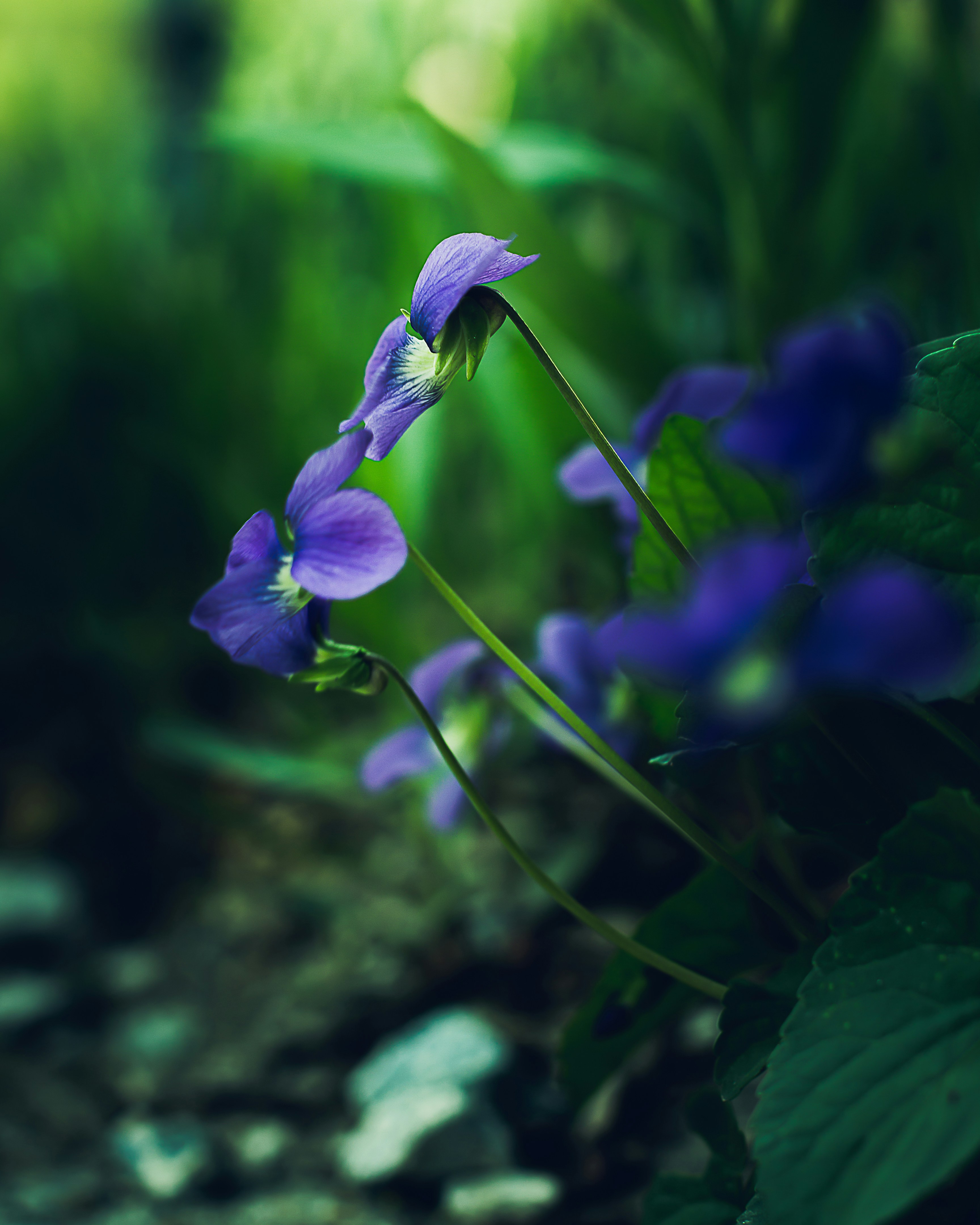 Photo by emmanuelphaeton