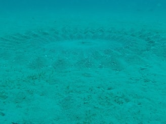 An underwater scene with a circular, symmetrical pattern resembling a sand formation on the ocean floor. The intricate design appears to be crafted in the sand, surrounded by the blue hue of the water.