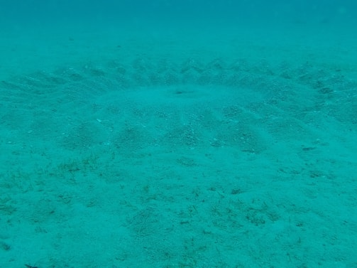 An underwater scene with a circular, symmetrical pattern resembling a sand formation on the ocean floor. The intricate design appears to be crafted in the sand, surrounded by the blue hue of the water.