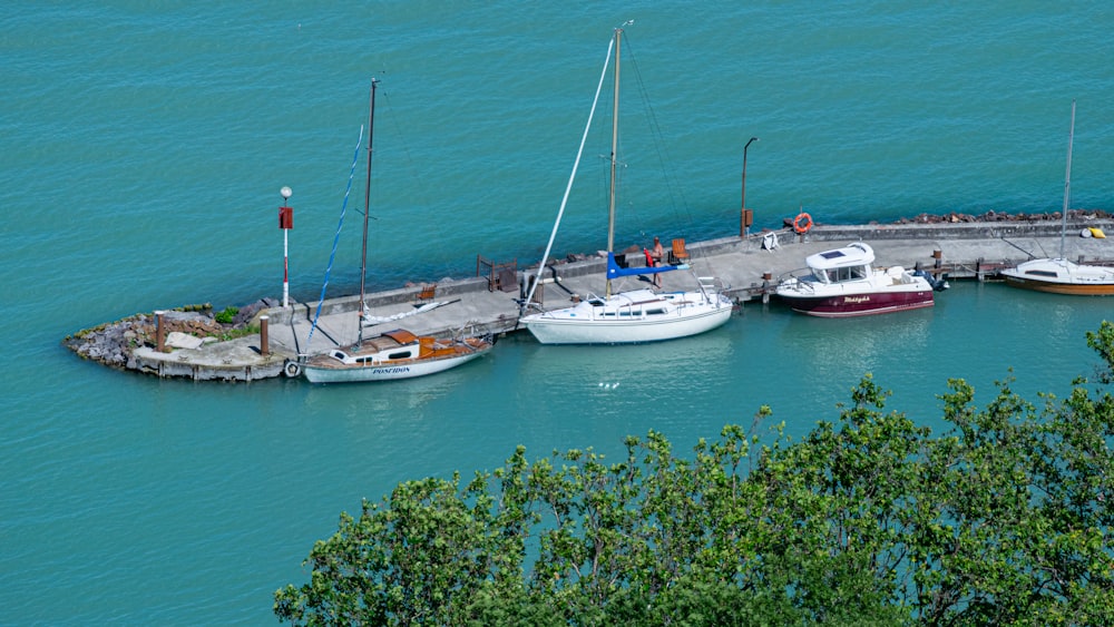 boats in the water