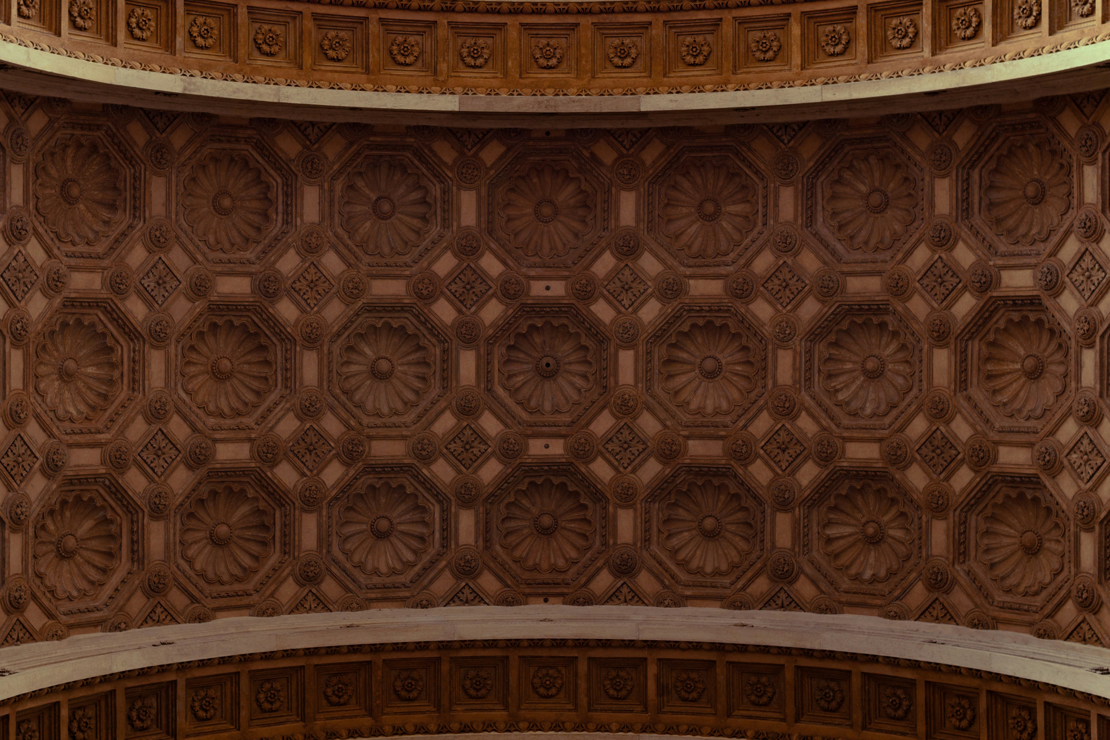 Photo by serenaclerio