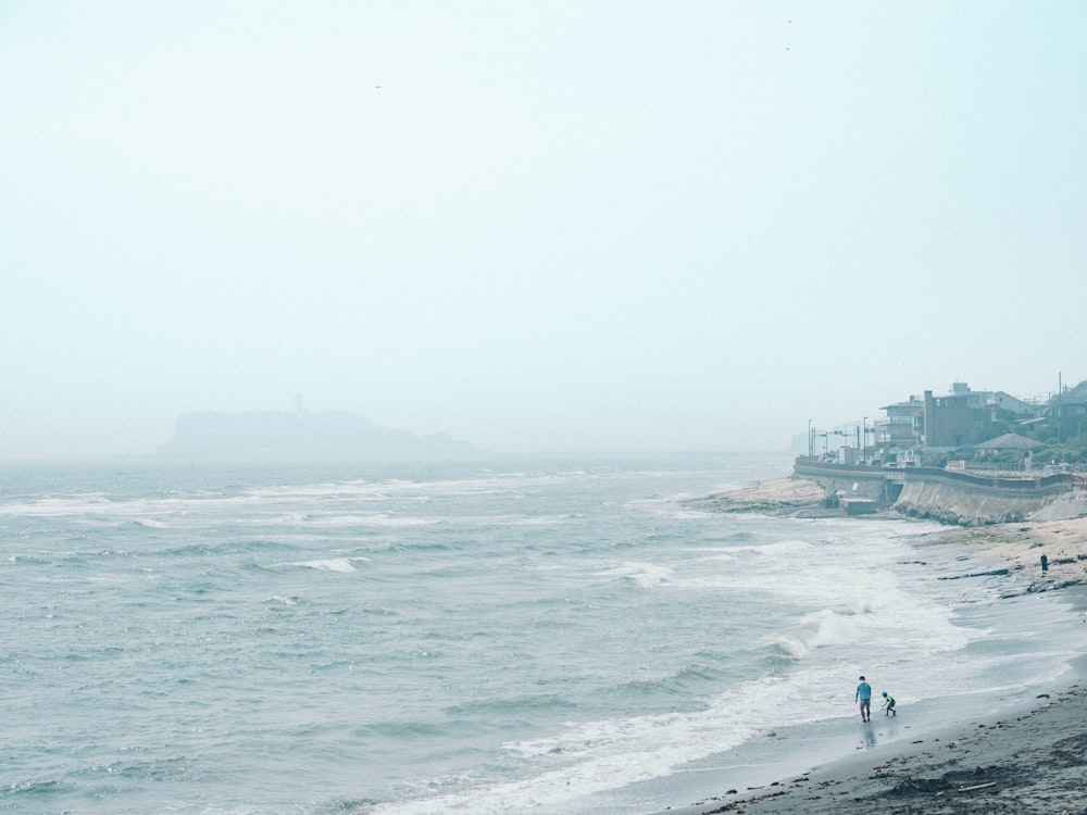 a beach with a pier and people