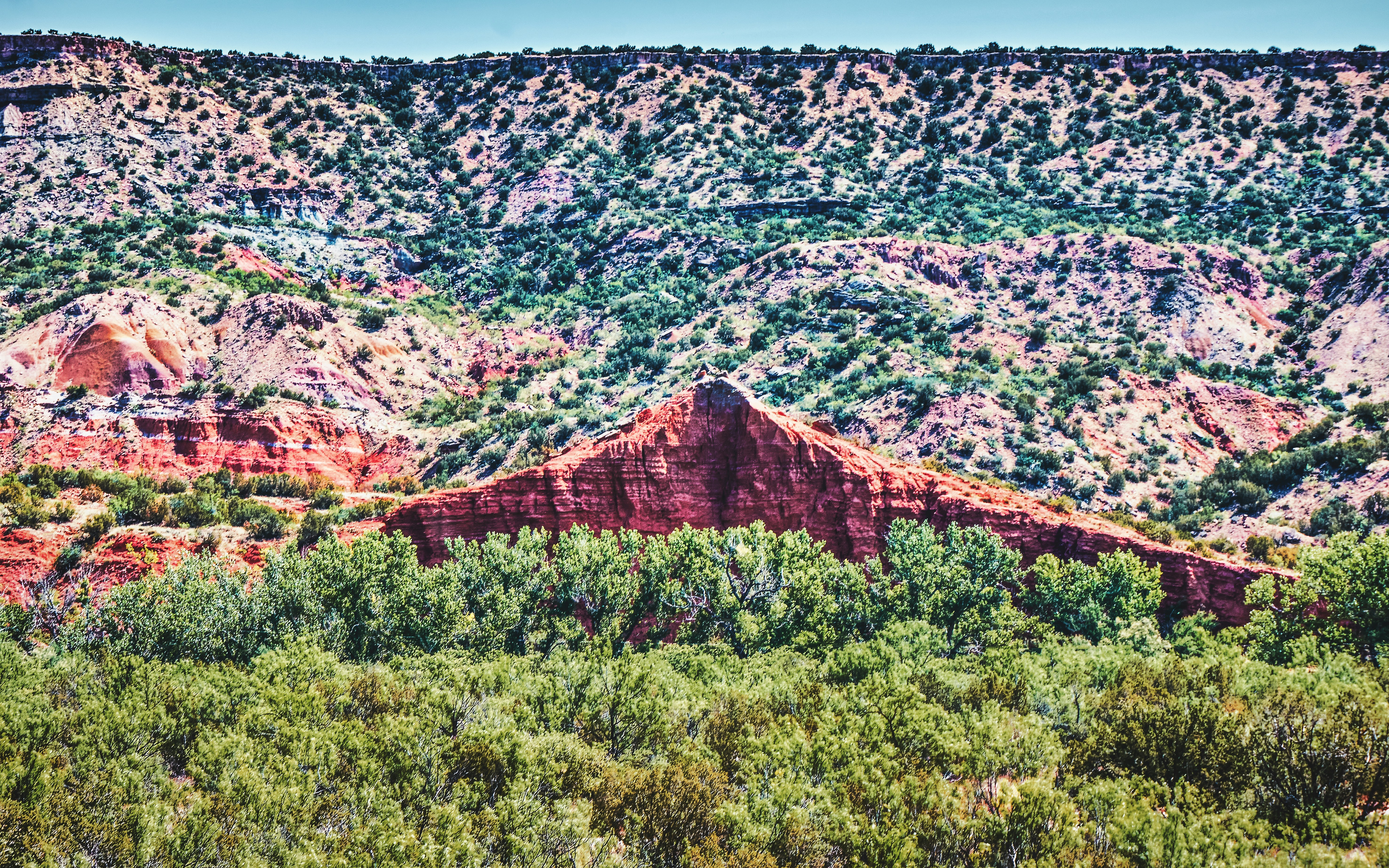 a large red rock formation in the middle of a forest