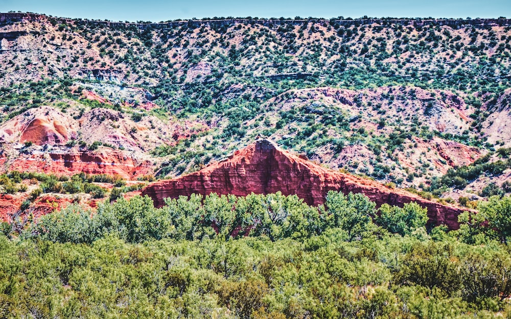 a large red rock formation in the middle of a forest