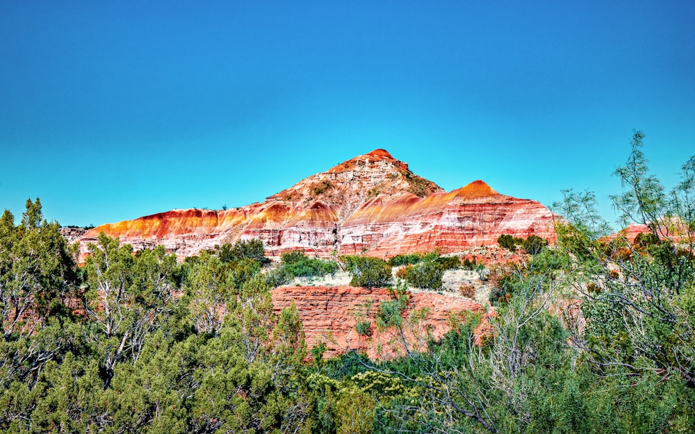 a red rock cliff with trees