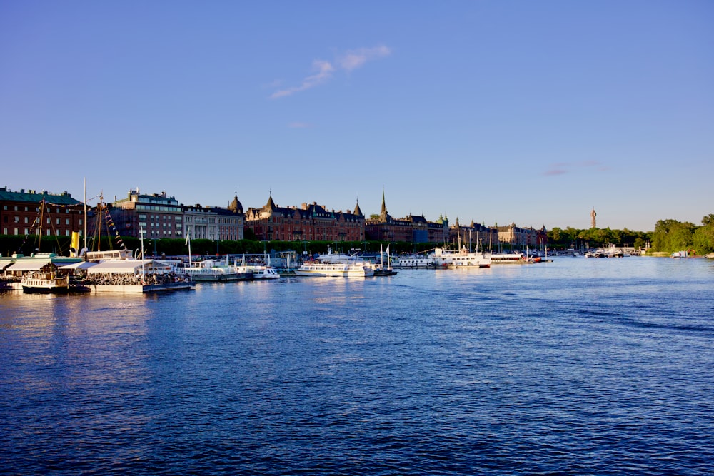 a body of water with boats in it and buildings in the back