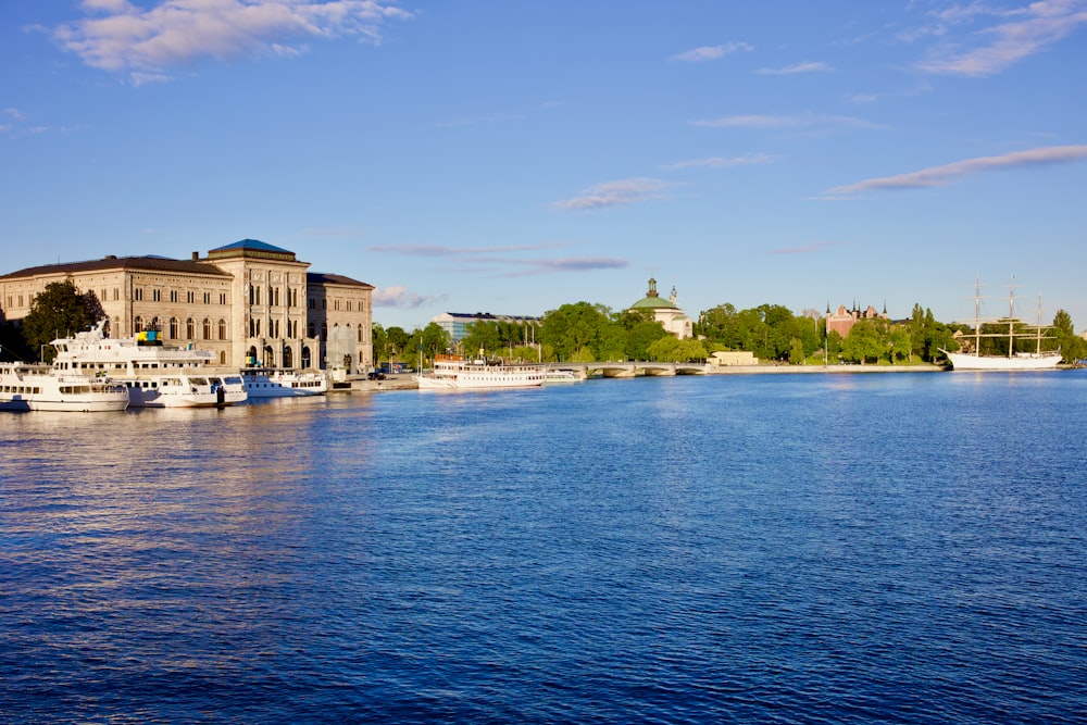 a body of water with boats and buildings along it