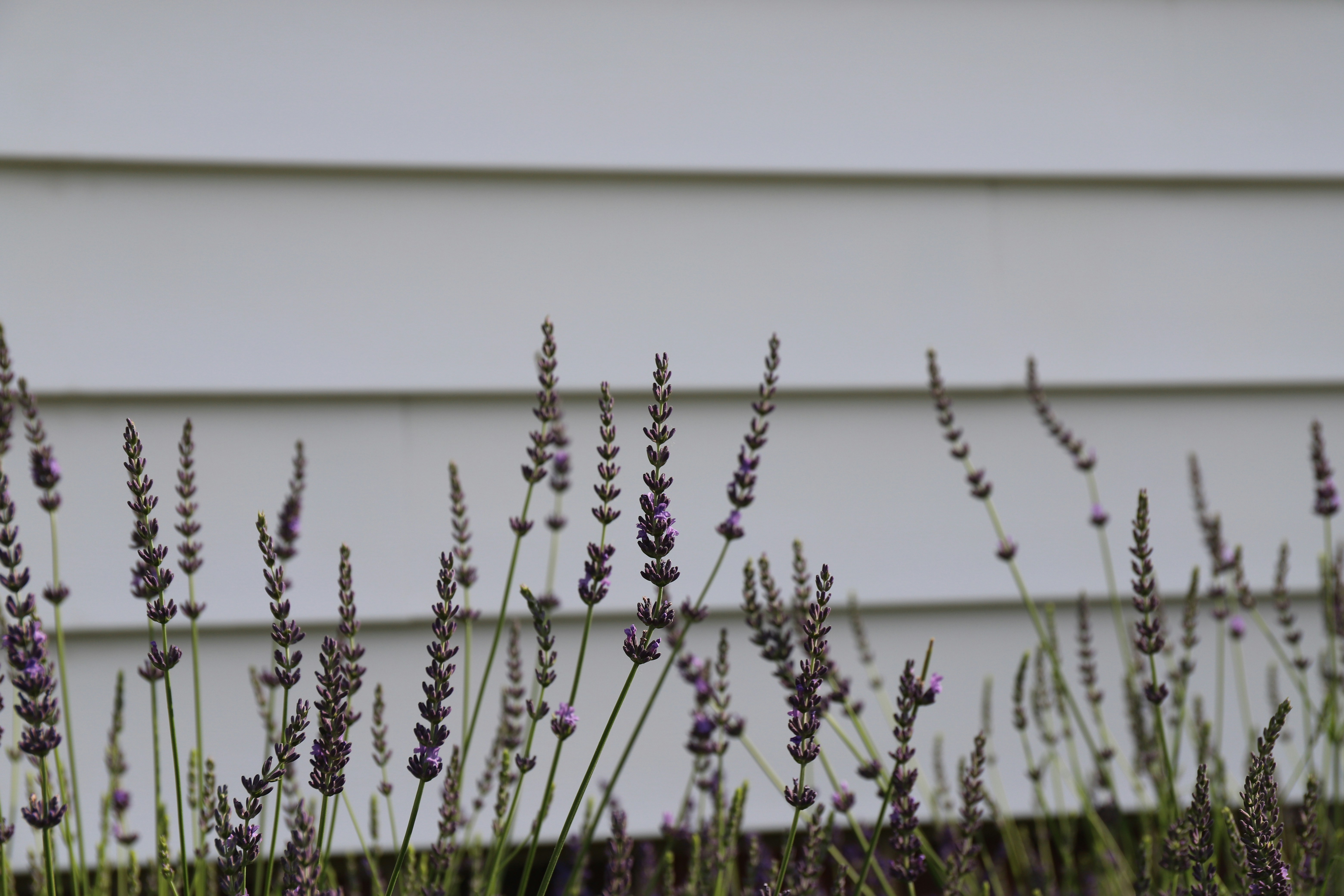 Photo by michaelbweidner