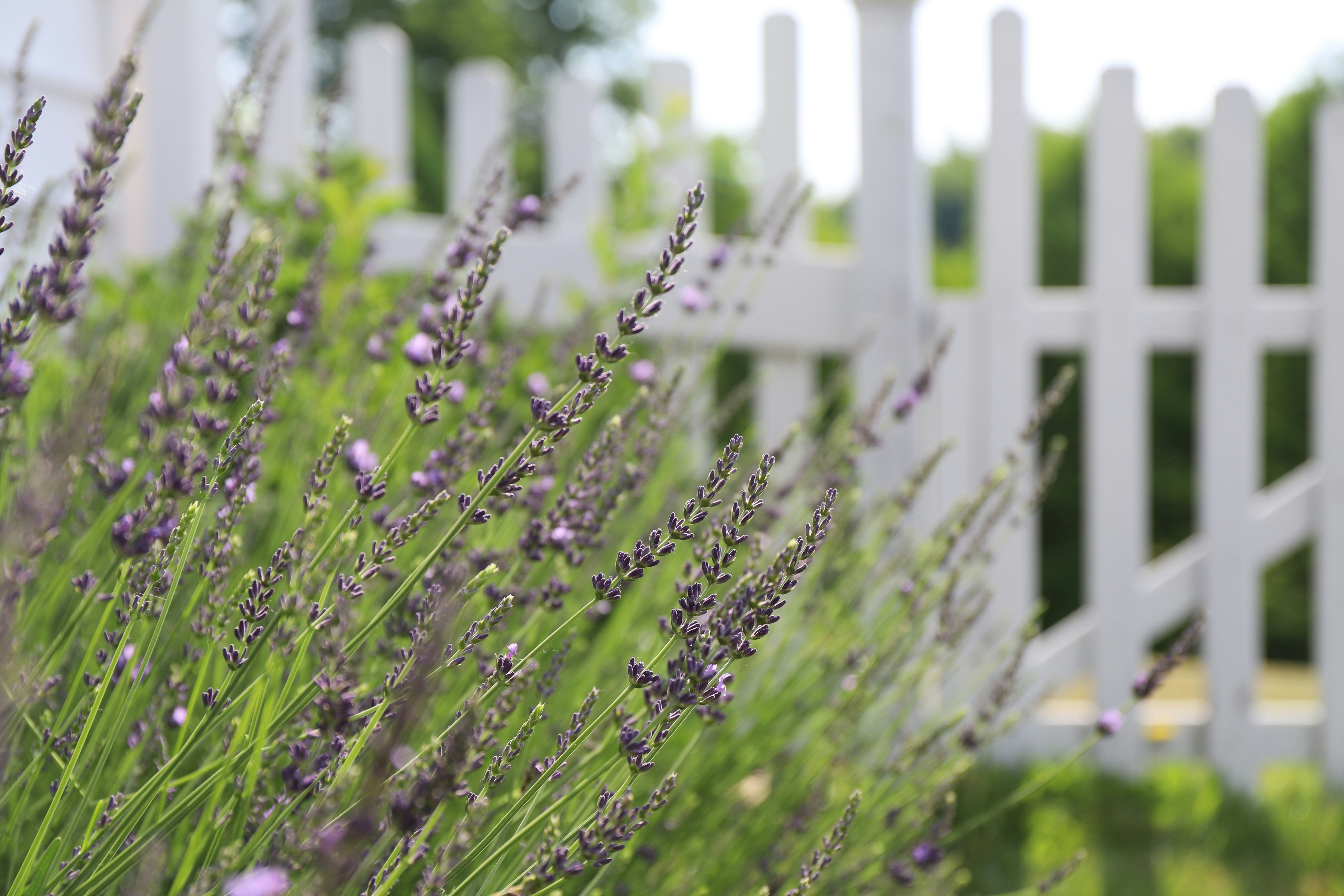 Photo by michaelbweidner