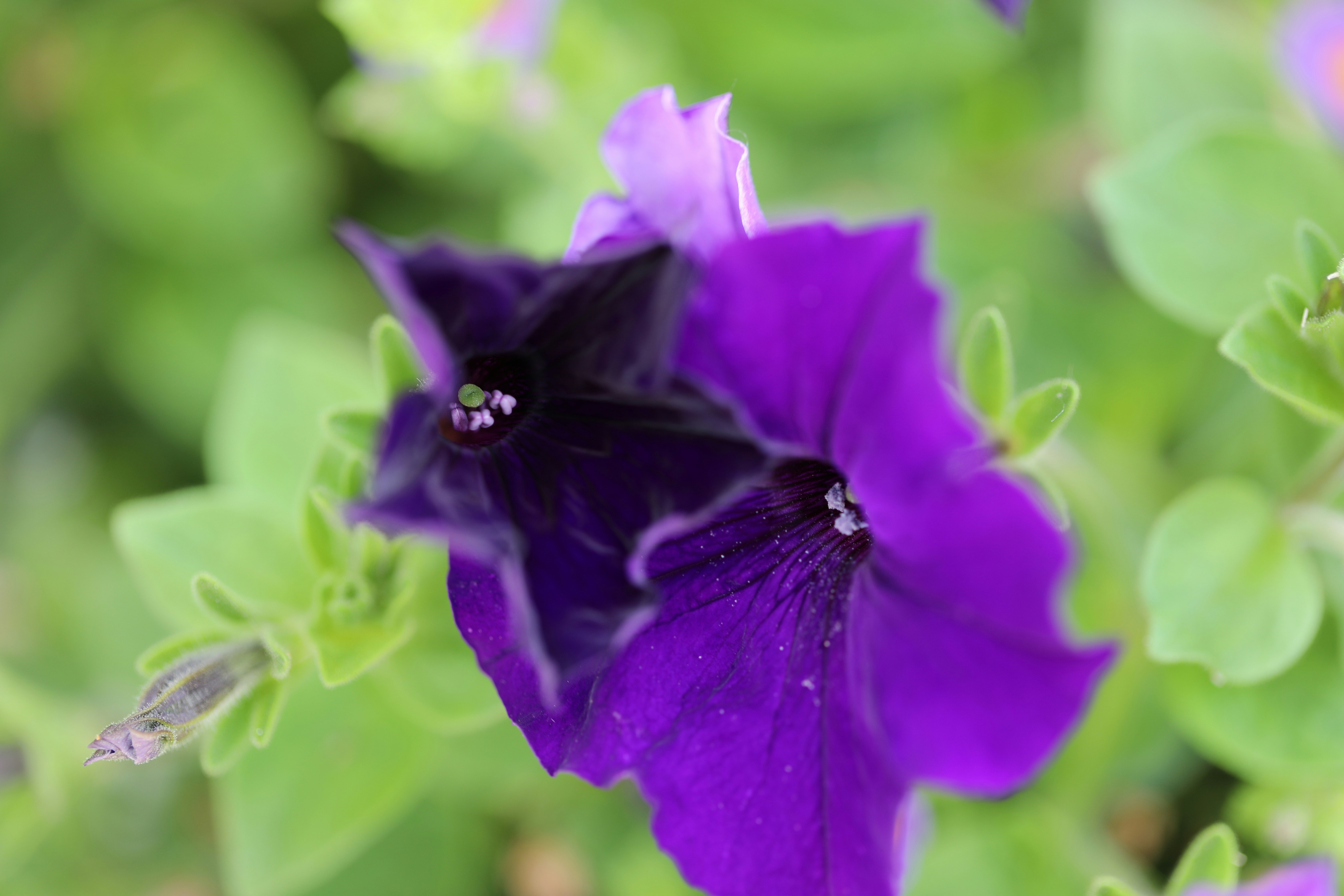 Photo by michaelbweidner