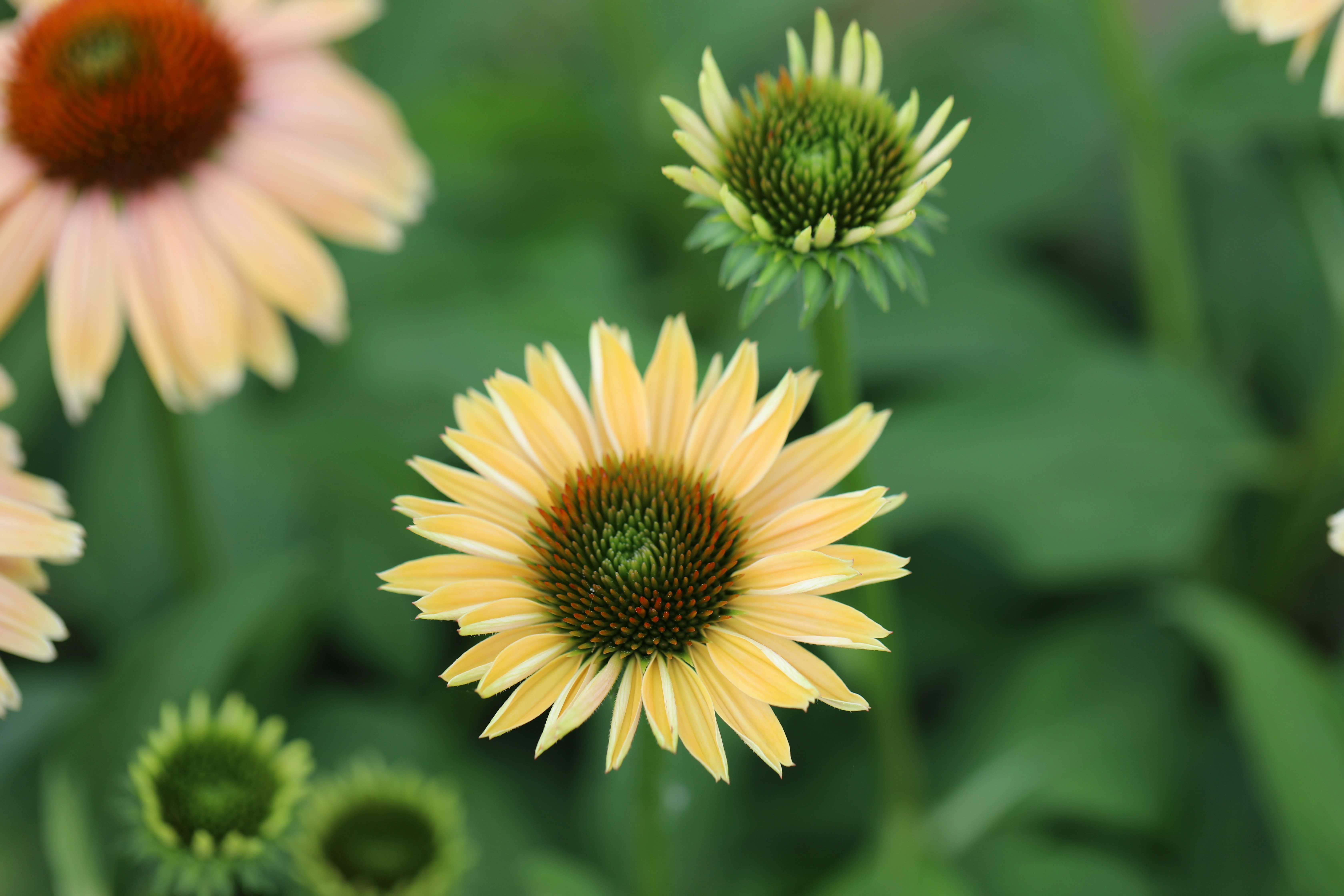 Photo by michaelbweidner