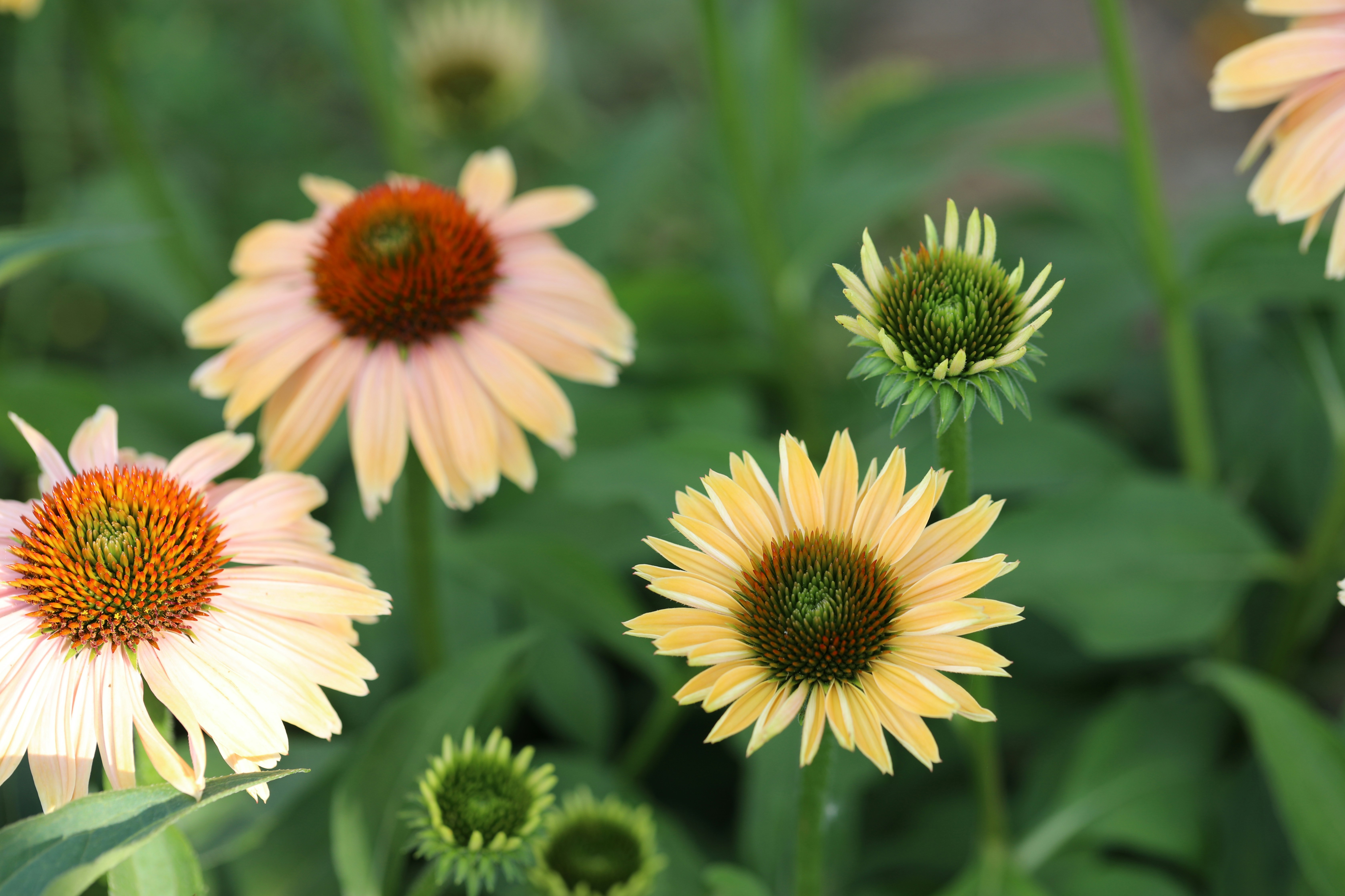 Photo by michaelbweidner