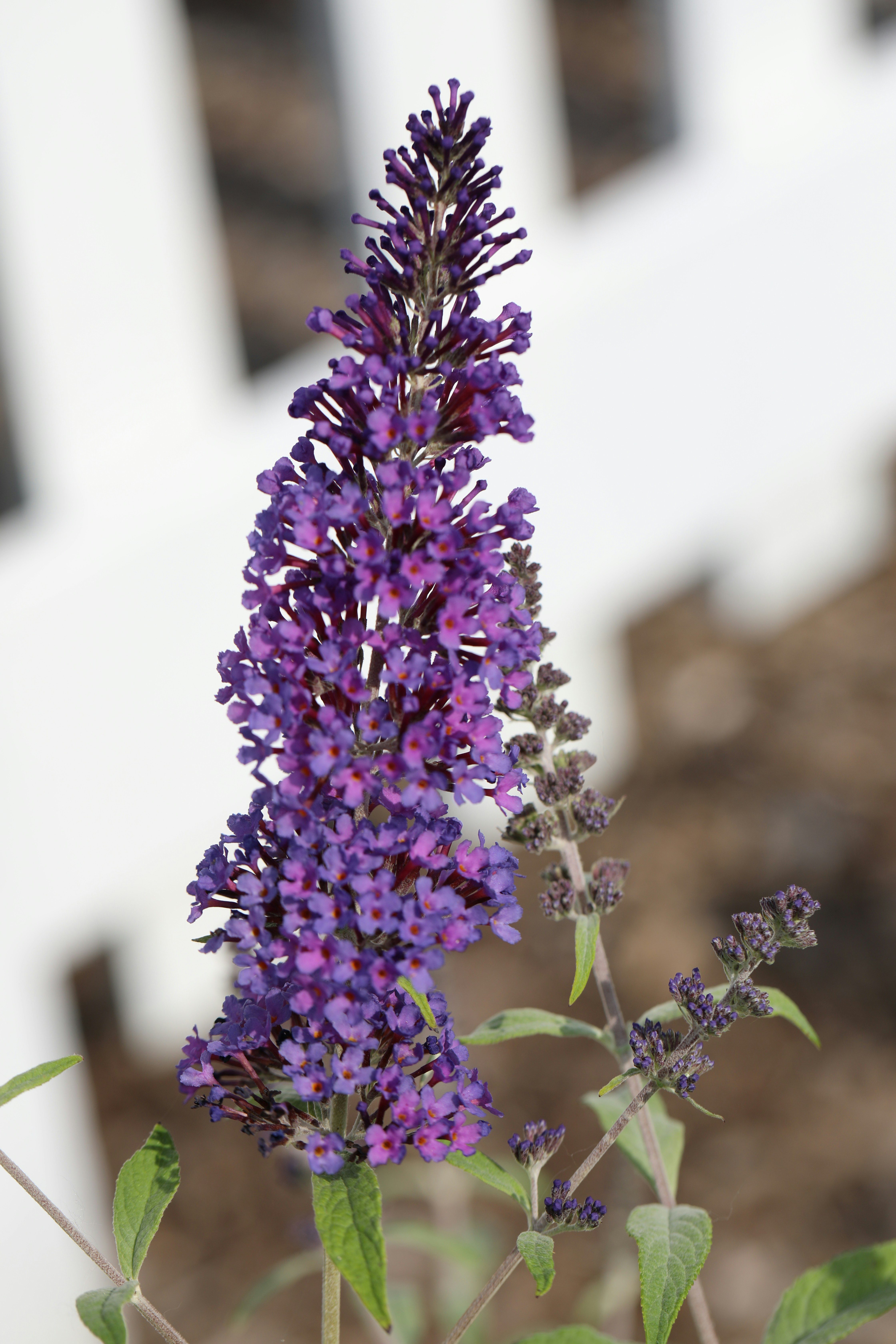 Photo by michaelbweidner