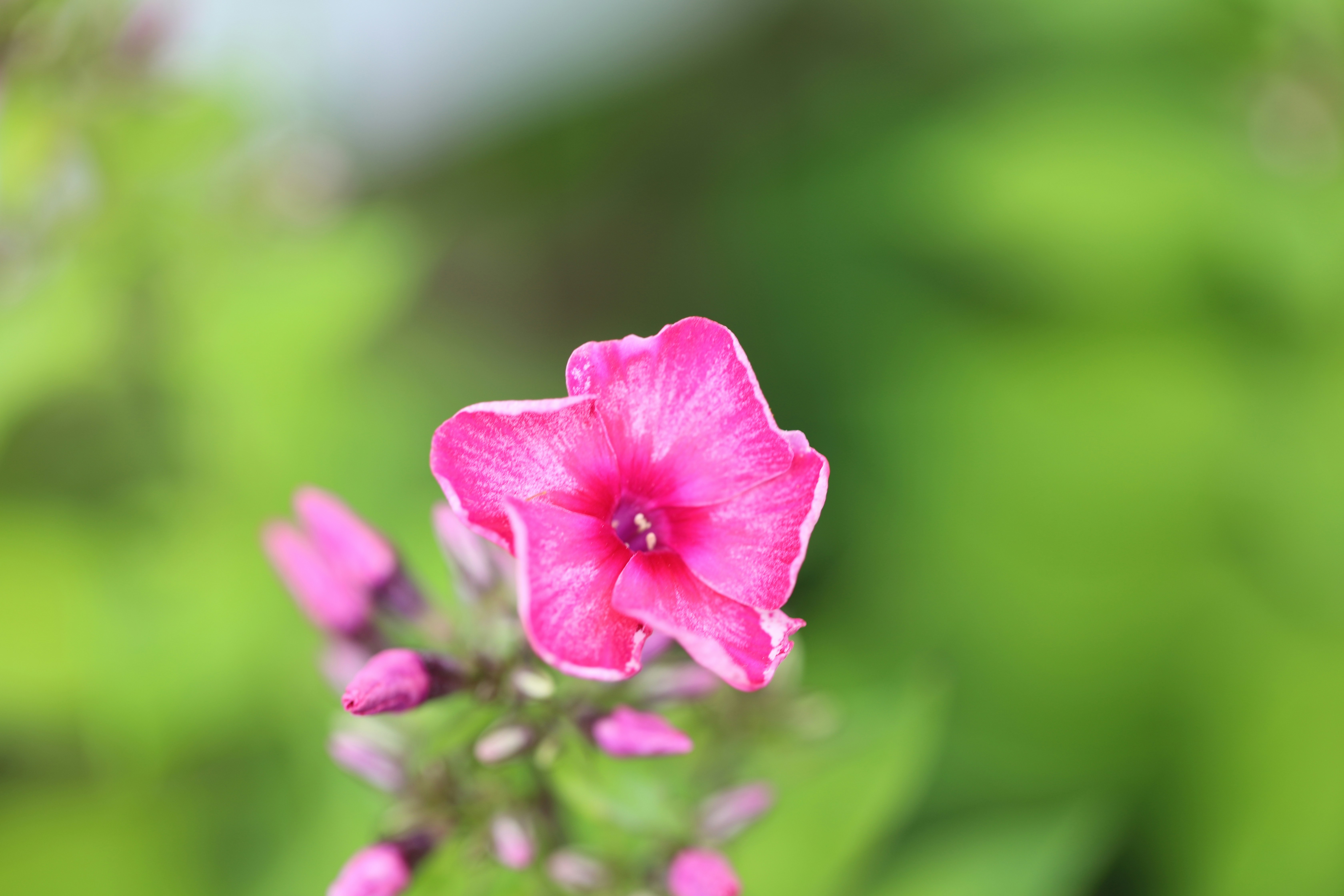 Photo by michaelbweidner