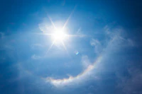 Vitamin D