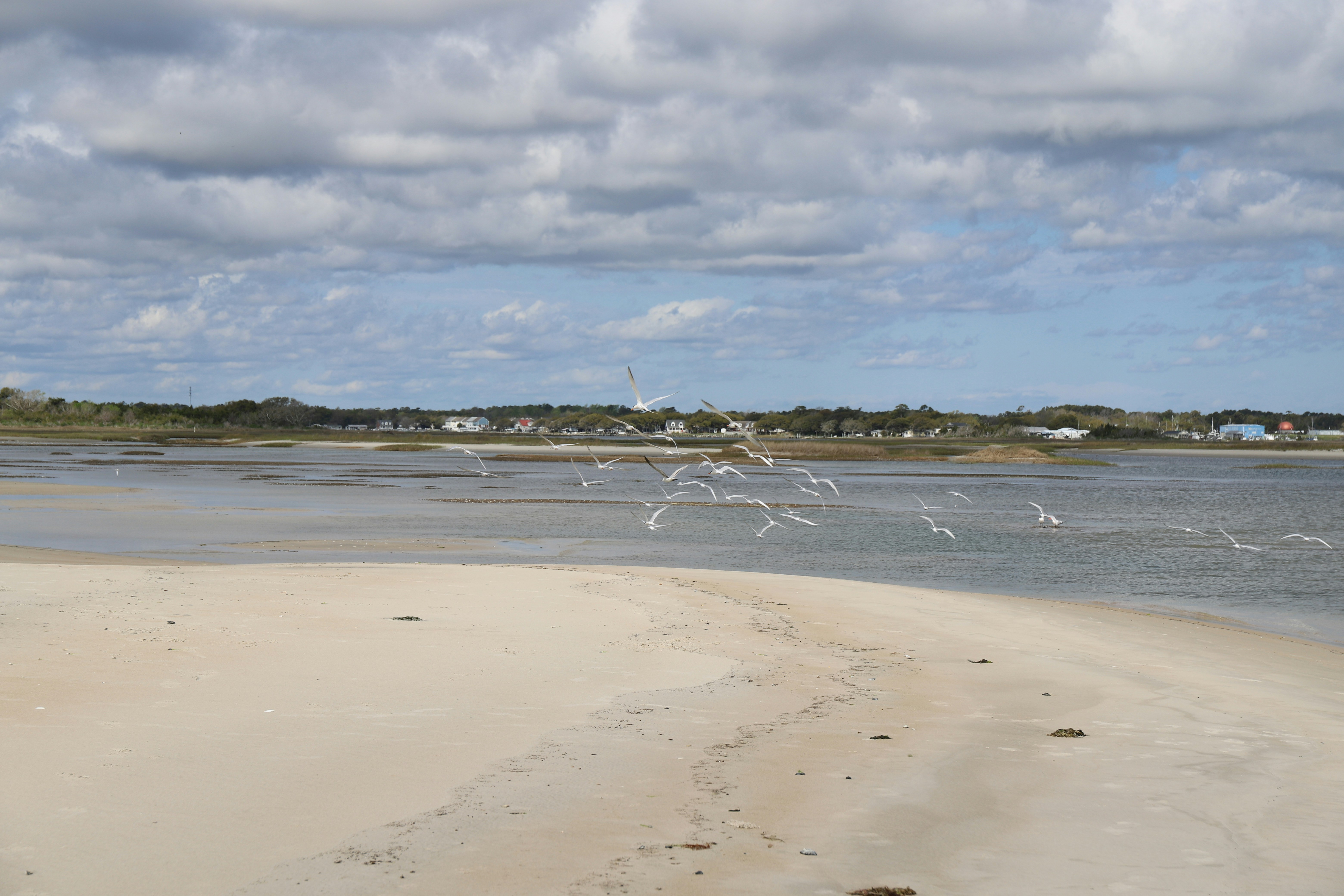 una playa con un cuerpo de agua