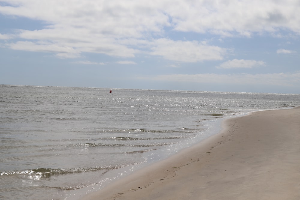 a beach with a body of water