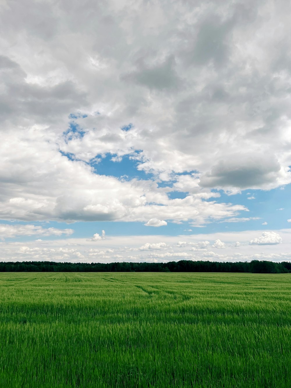 a large green field