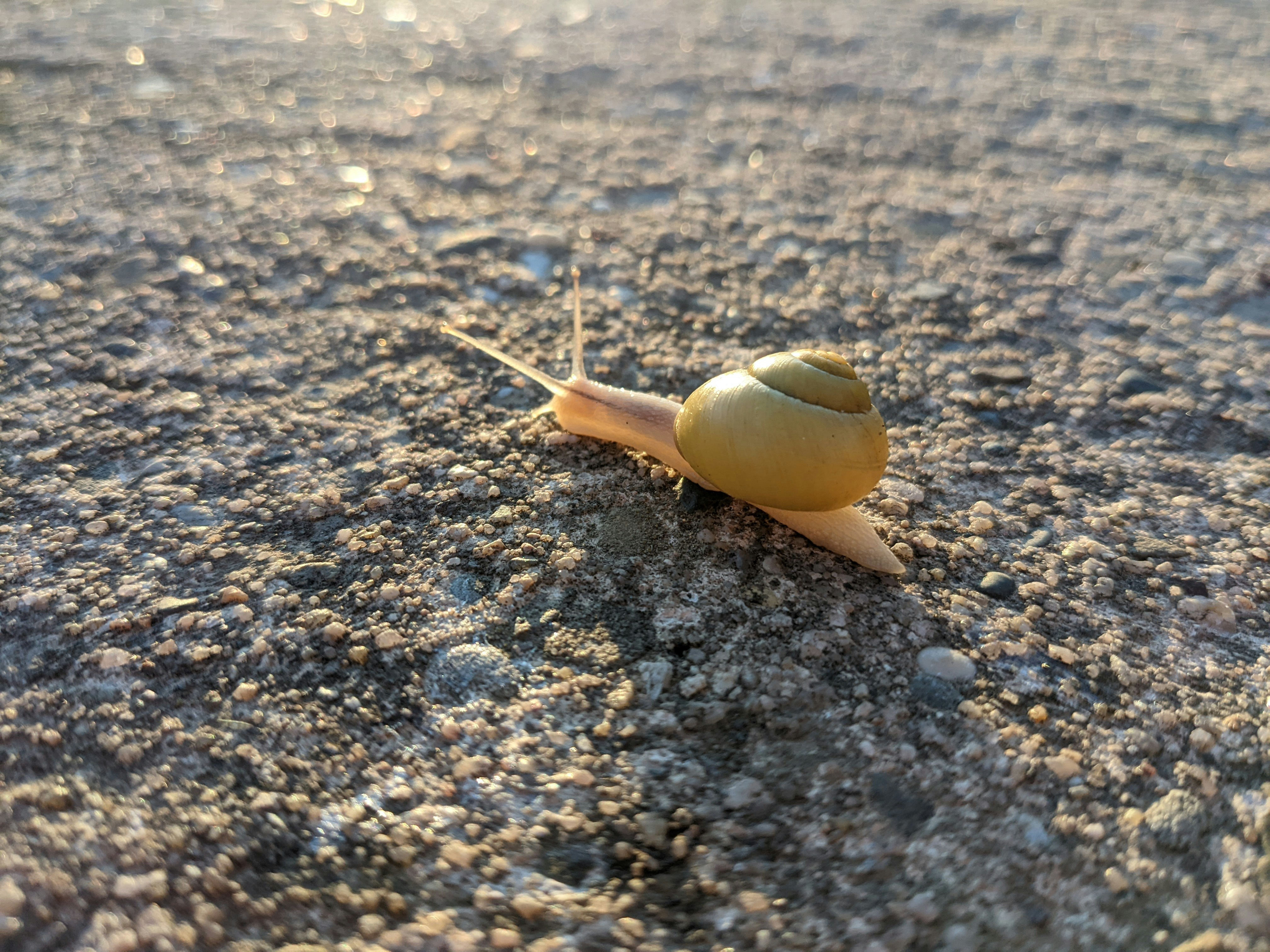 Photo by schnupfchen13