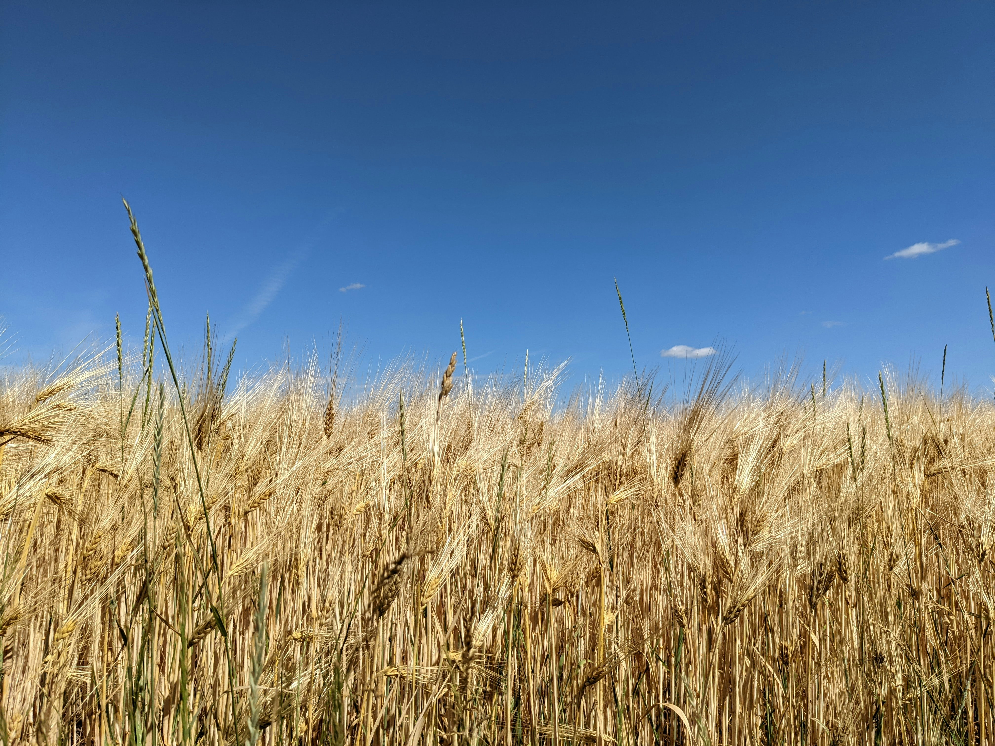 Photo by schnupfchen13