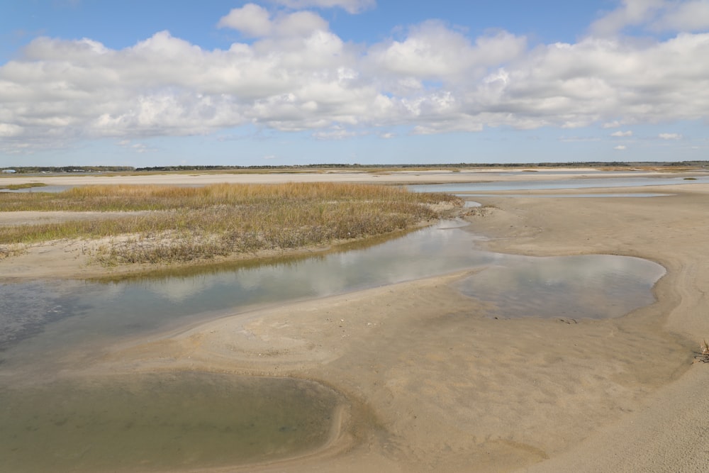 ein großes Gewässer mit Land im Hintergrund