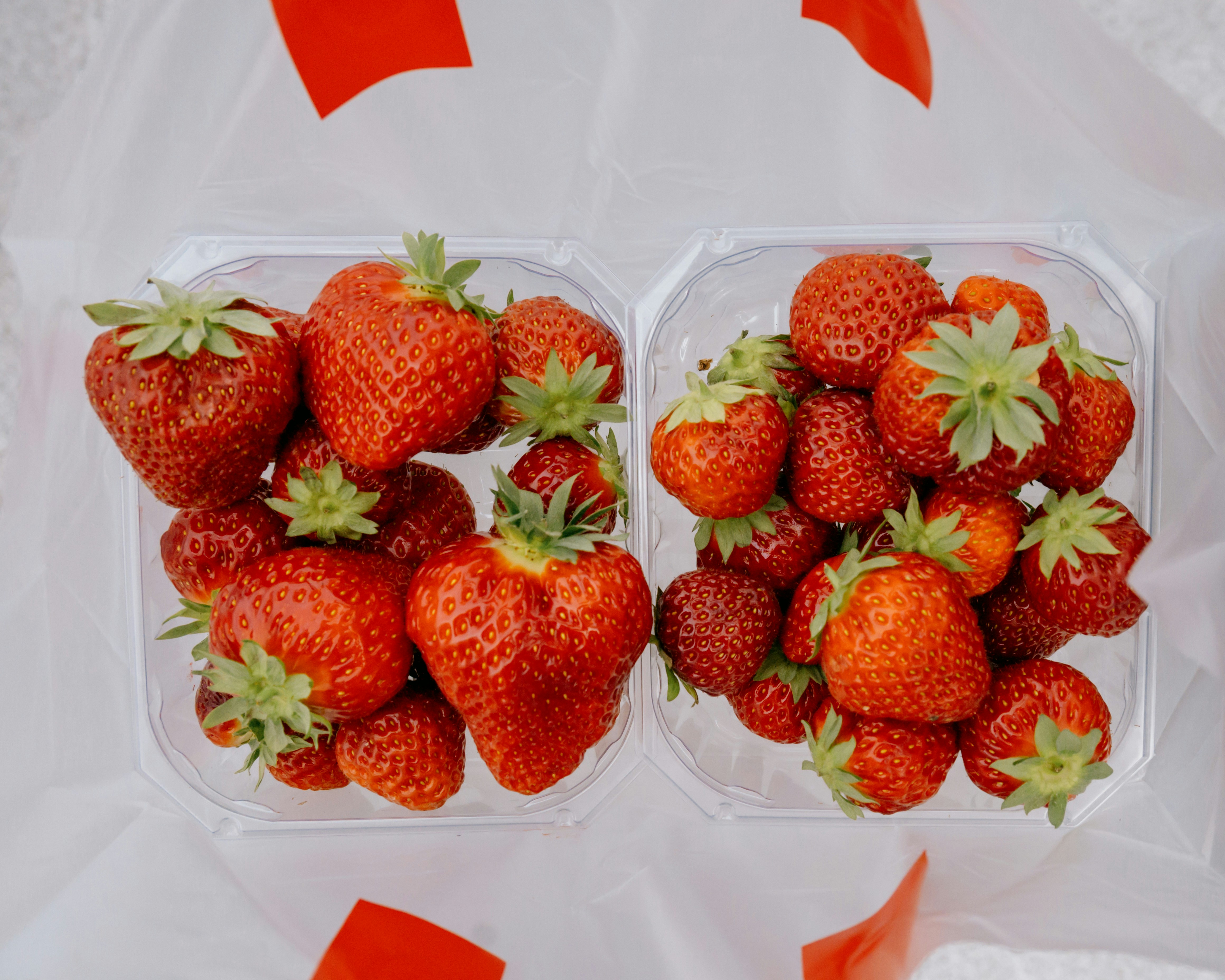 Delicious Norwegian strawberries 