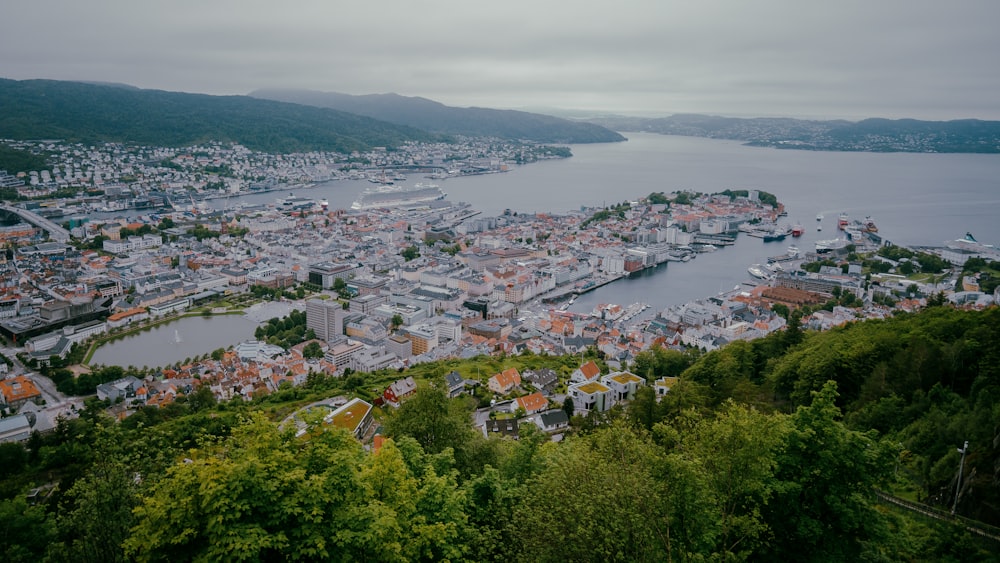 a city with trees and water