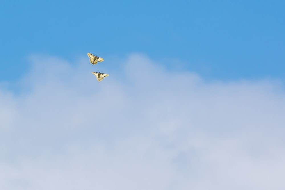 Una cometa volando en el cielo