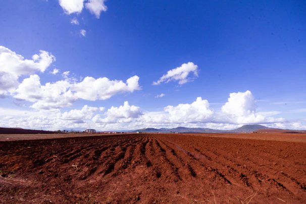 An open field with rich soil and distant mountains under a bright, clear sky.