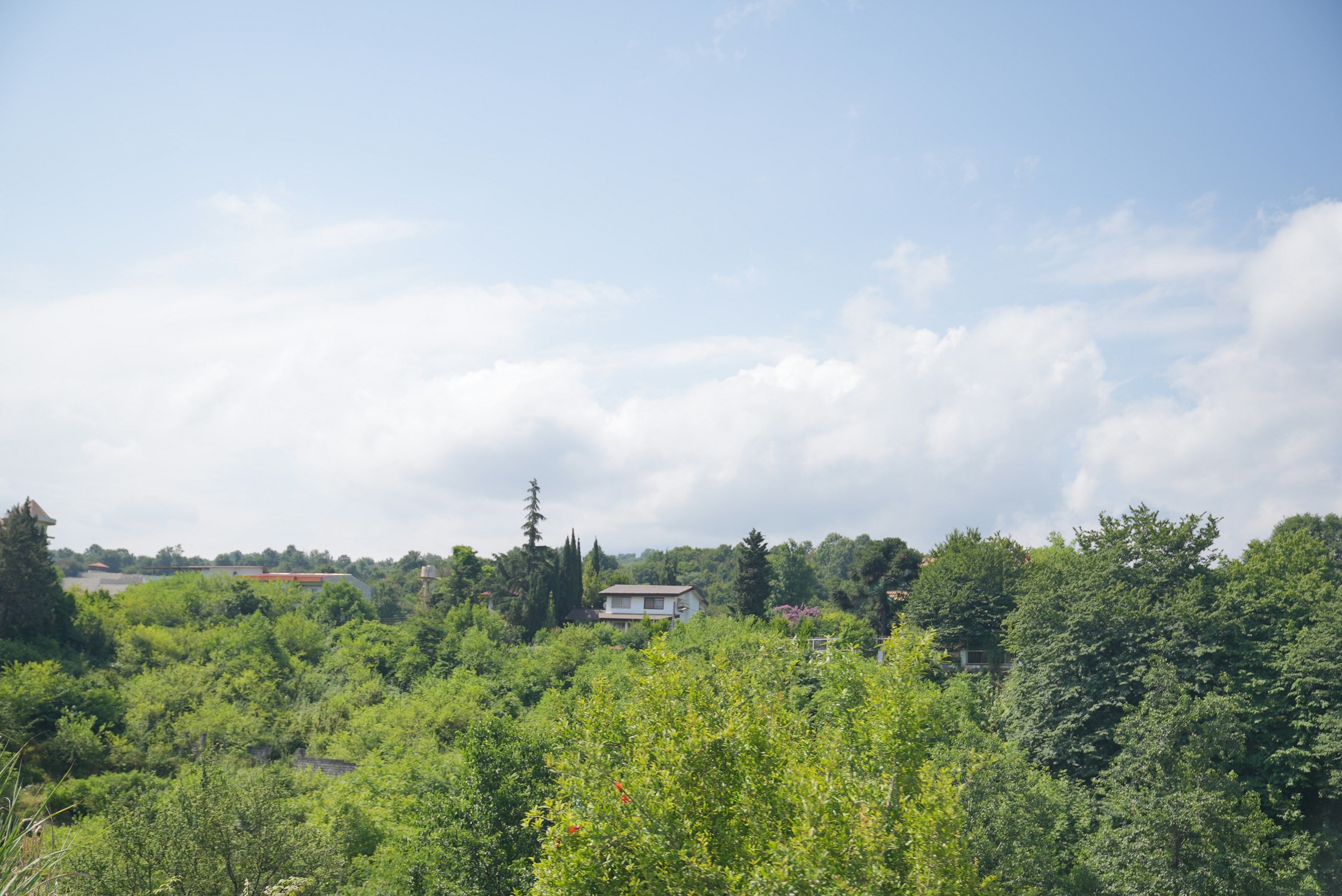 Photo by rafieeartist