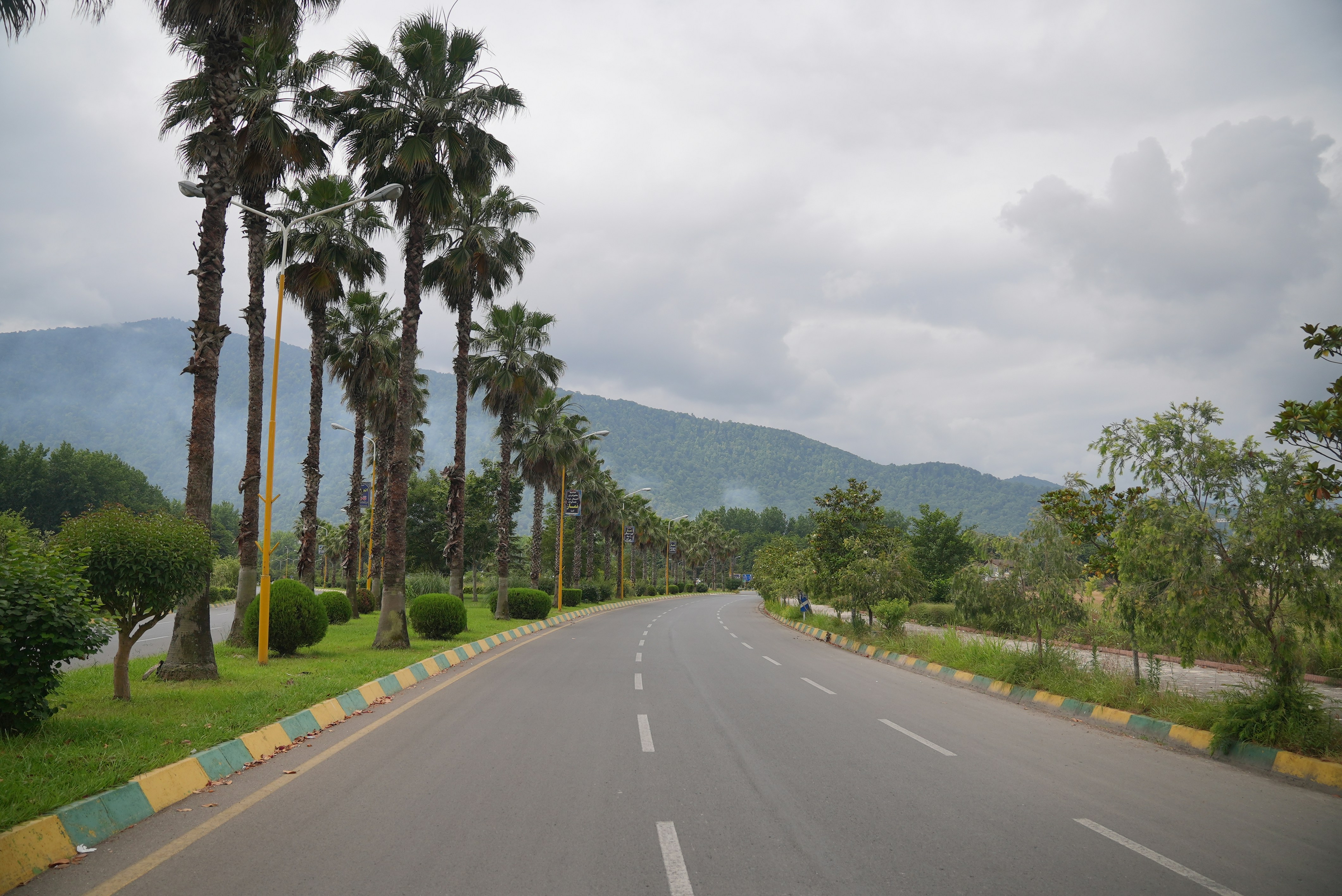 a road with palm trees on the side