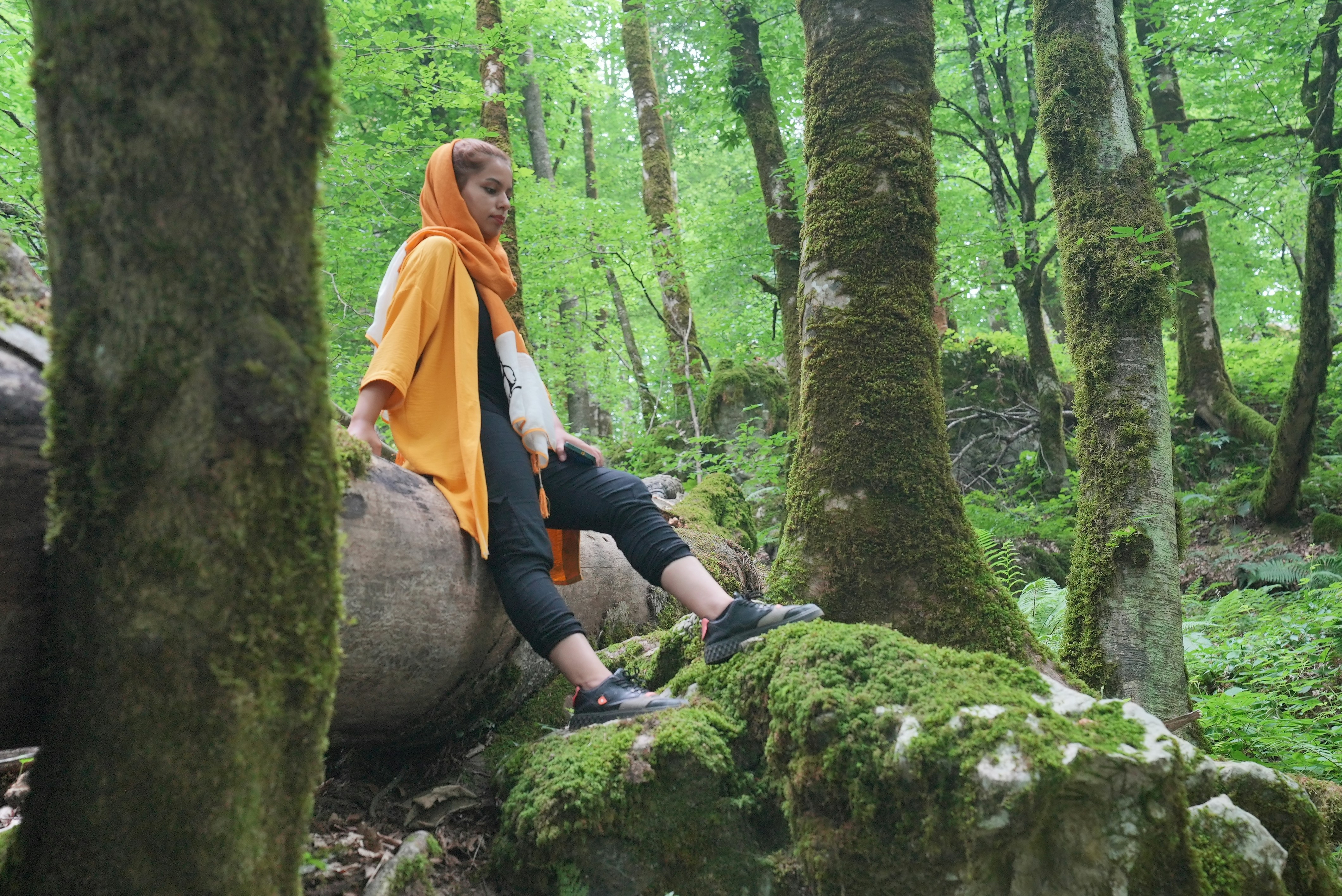a person sitting on a rock in the woods
