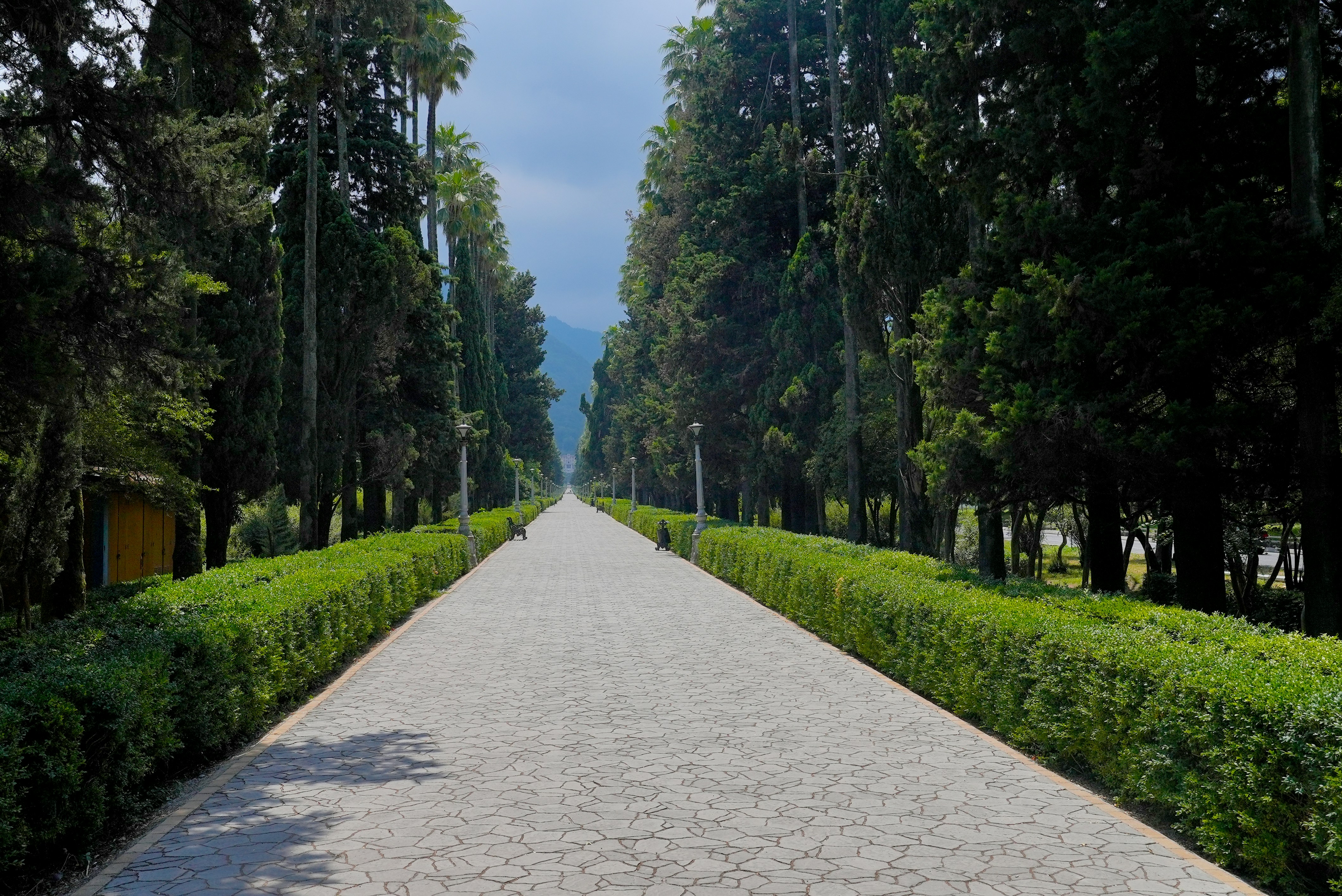 Photo by rafieeartist