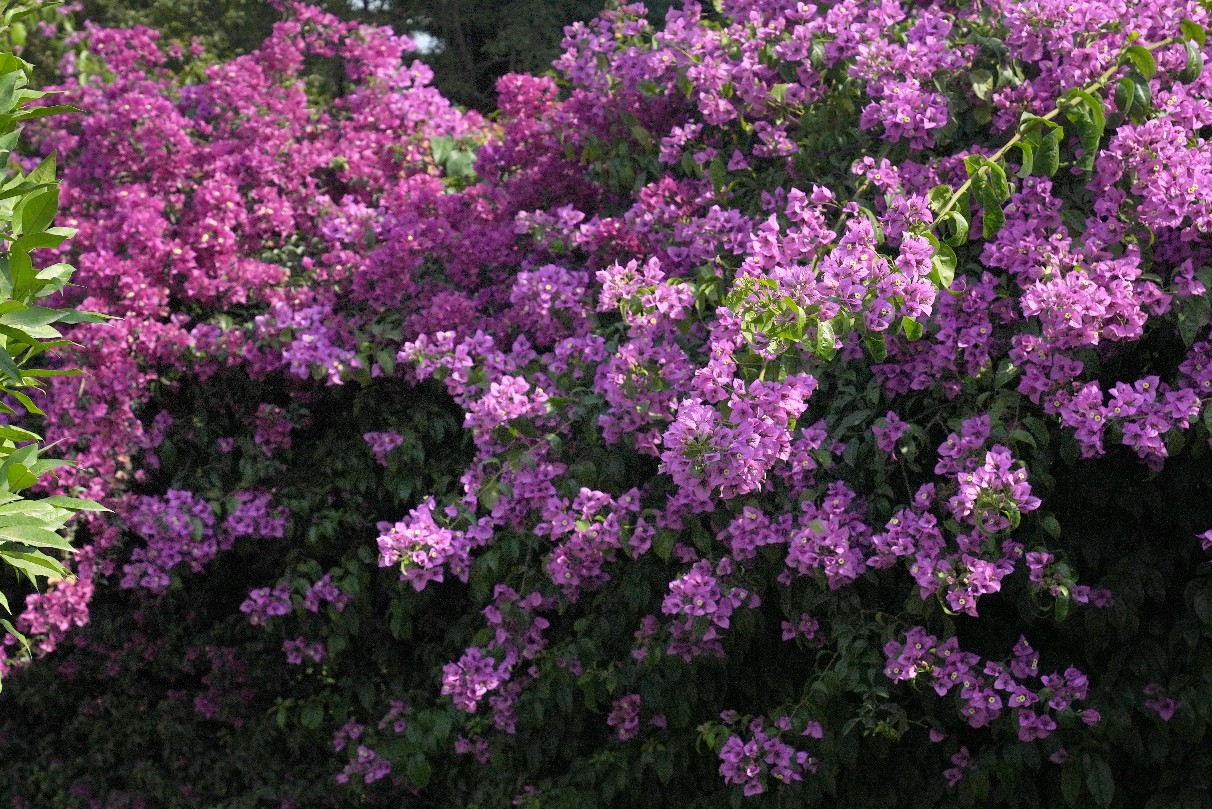 Photo by rafieeartist