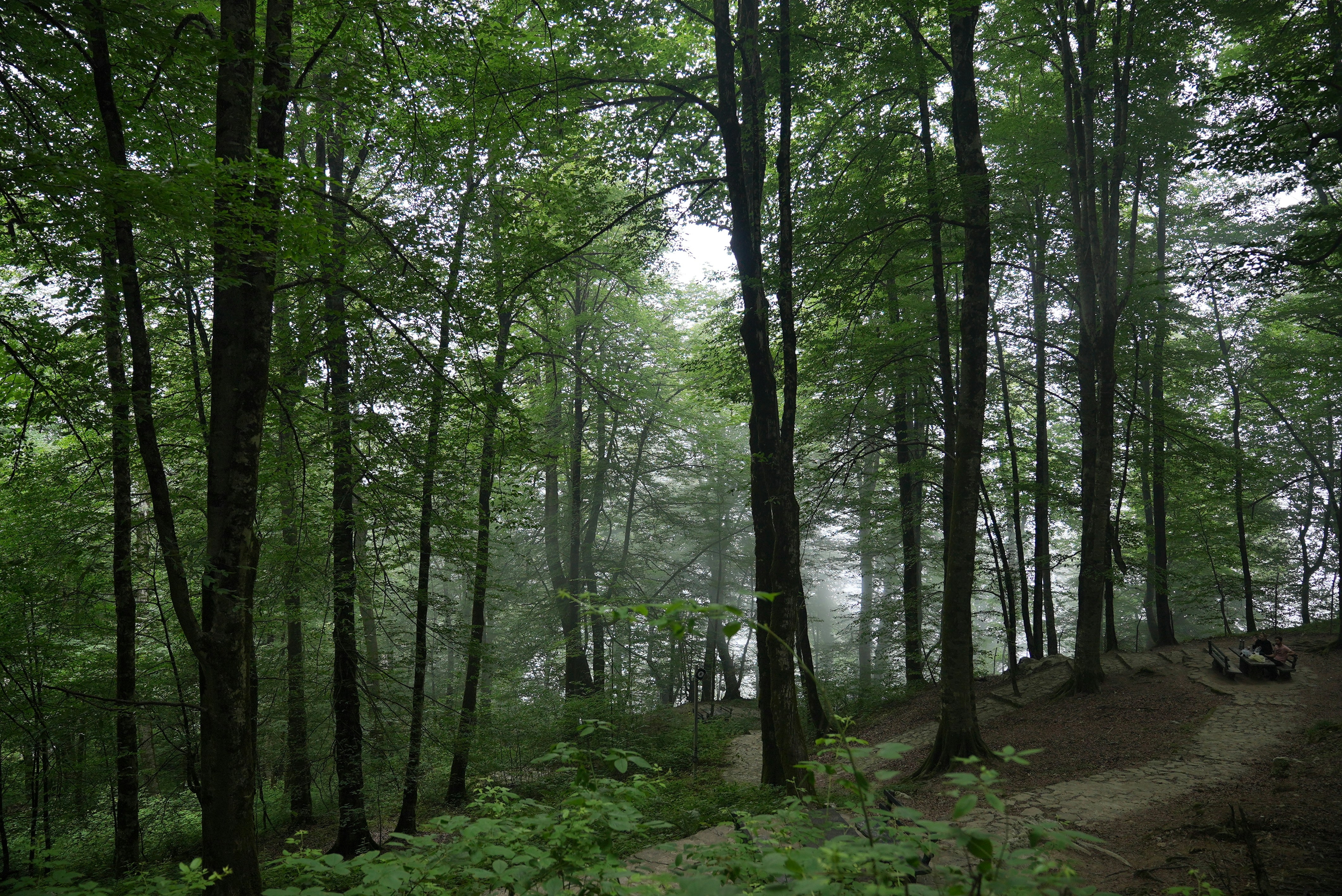 Photo by rafieeartist