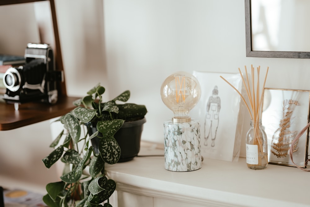 a plant in a vase next to a camera and other objects