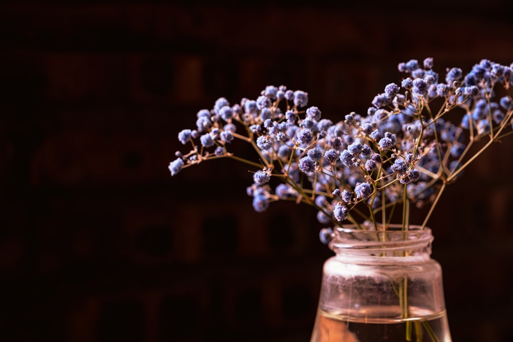 a vase with purple flowers